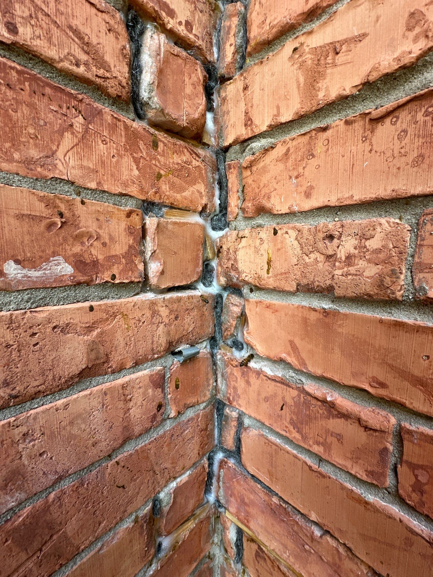 Bees Behind Bricks by Rockwall Honey Bee Company