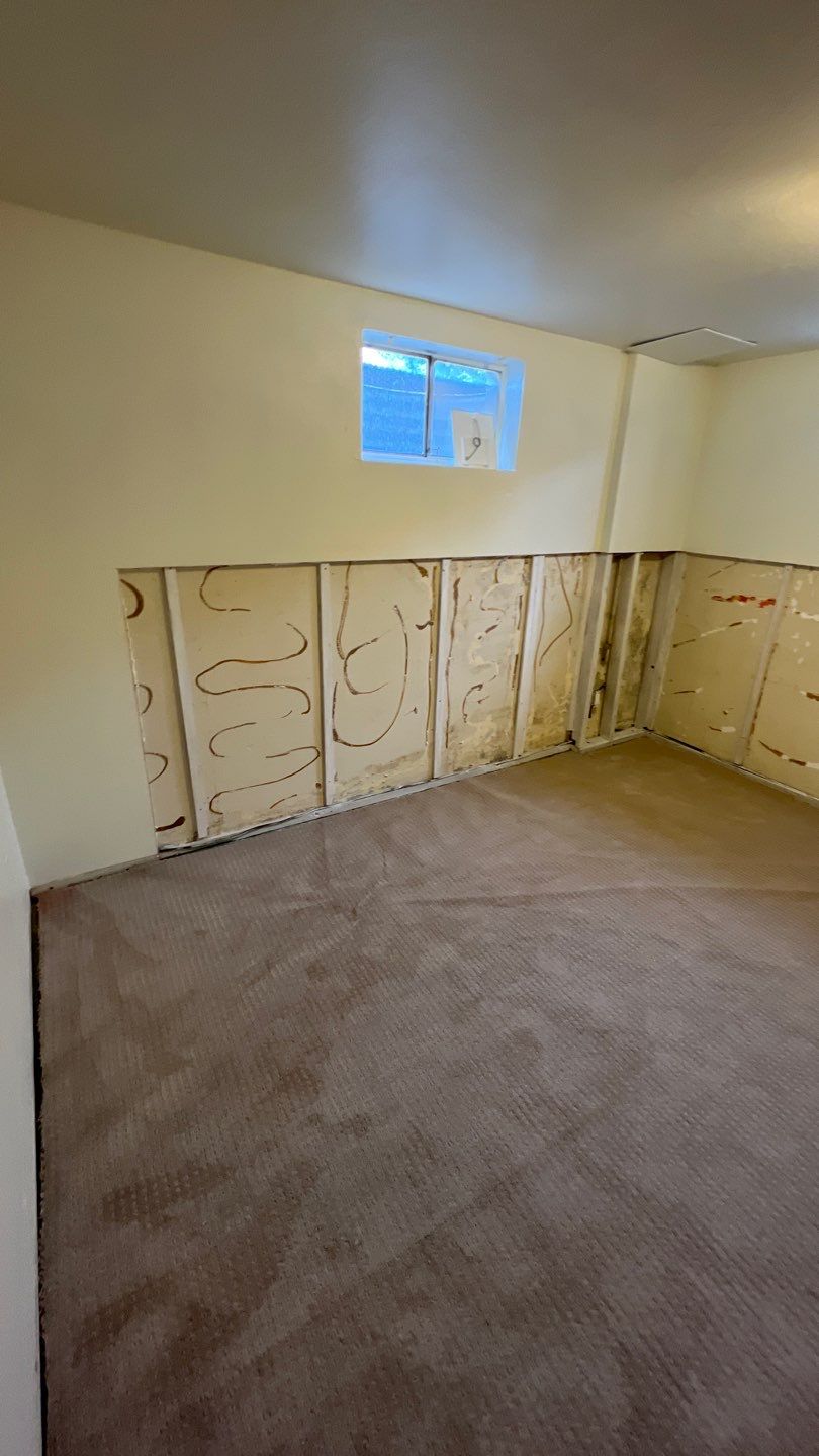 Mold Remediation by Accountable Home Services