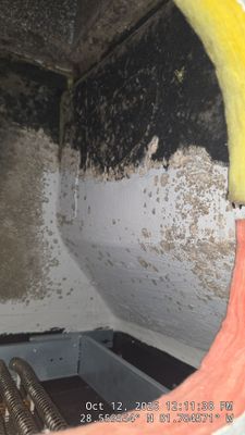 Air Duct Cleaning & Lining Restoration — Groveland