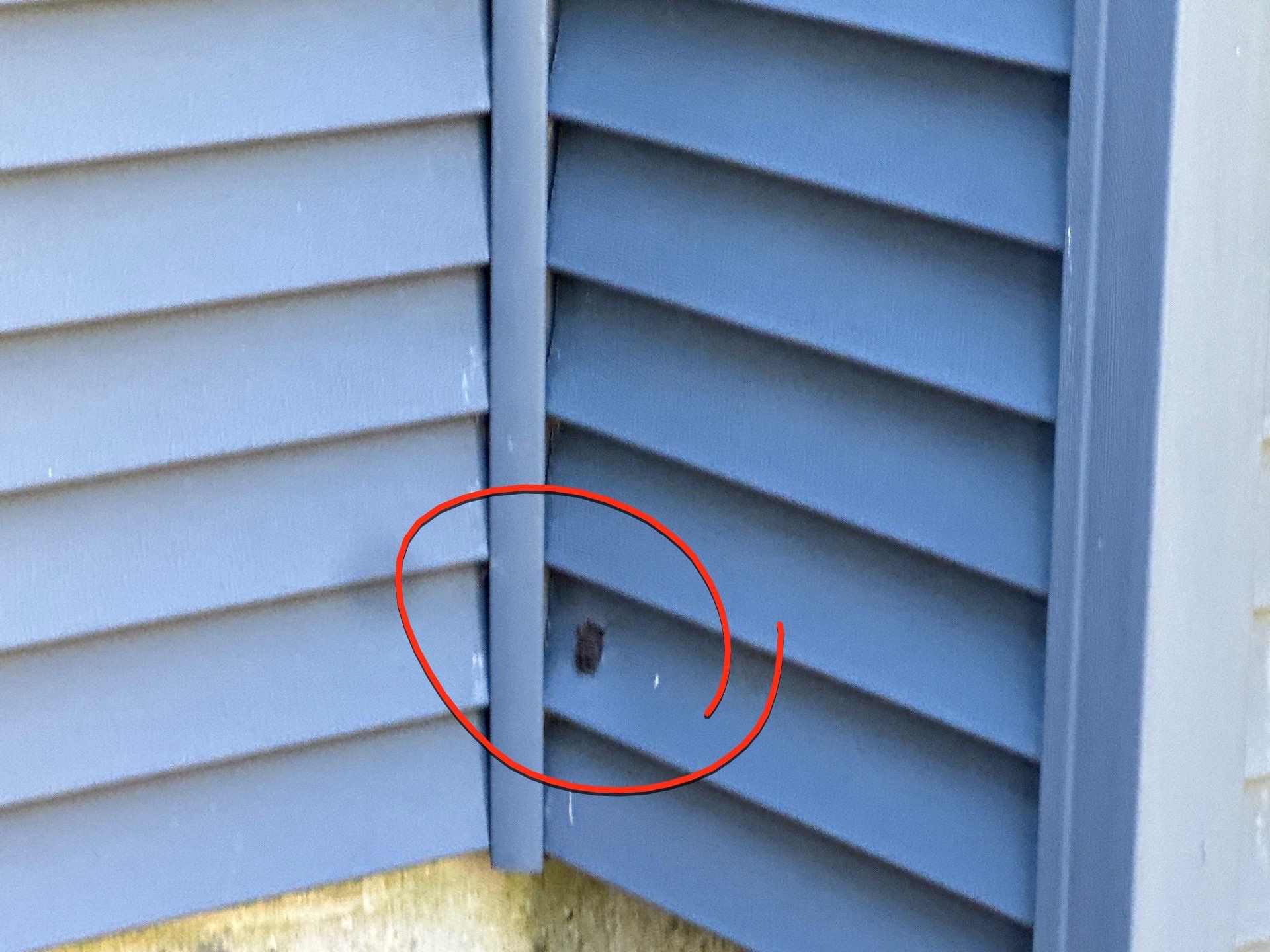 Siding | Tewksbury by Mighty Dog Roofing of Greater Middlesex County