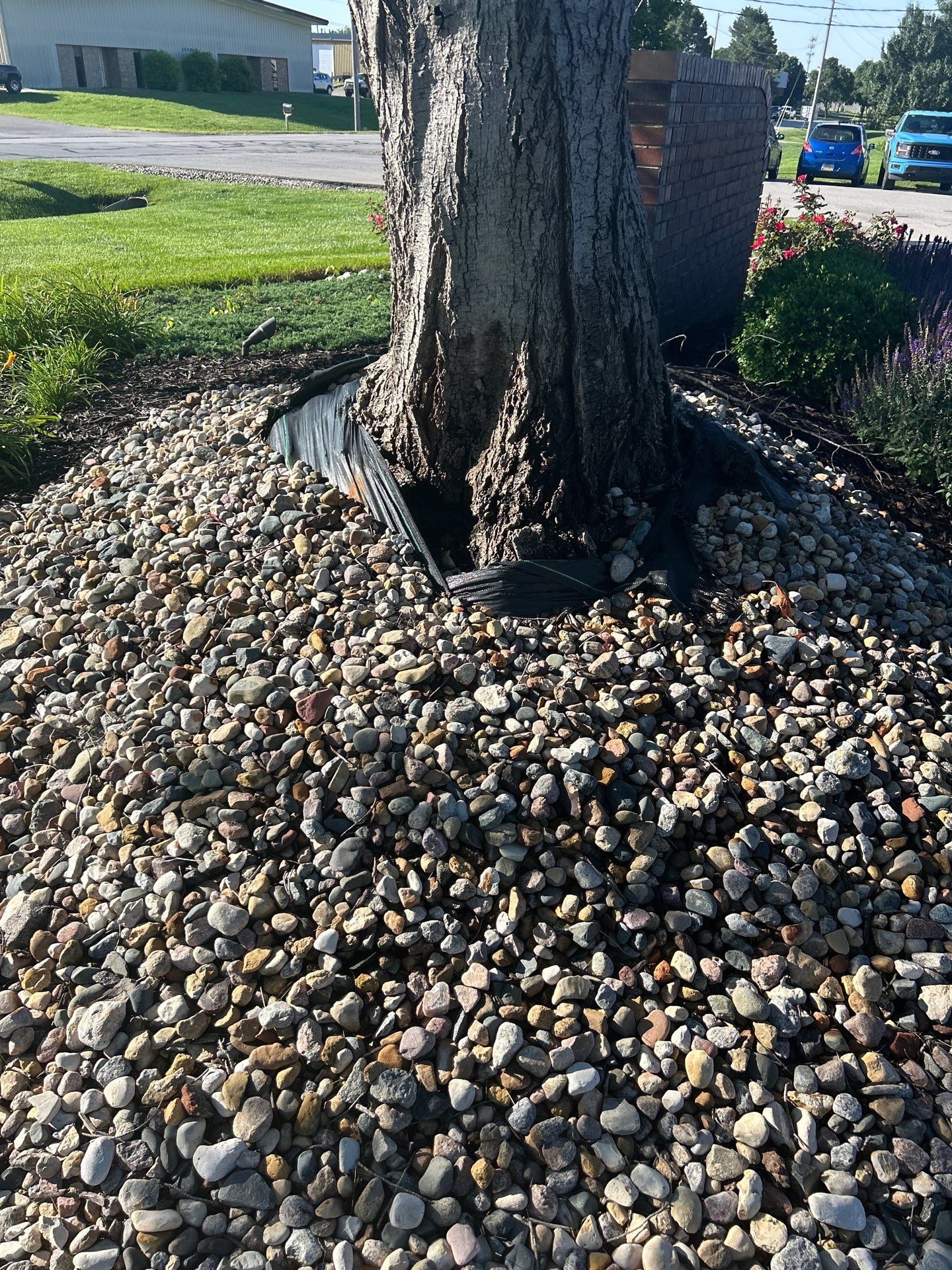 Custom Lawn QC visit  by Custom Lawn And Landscape