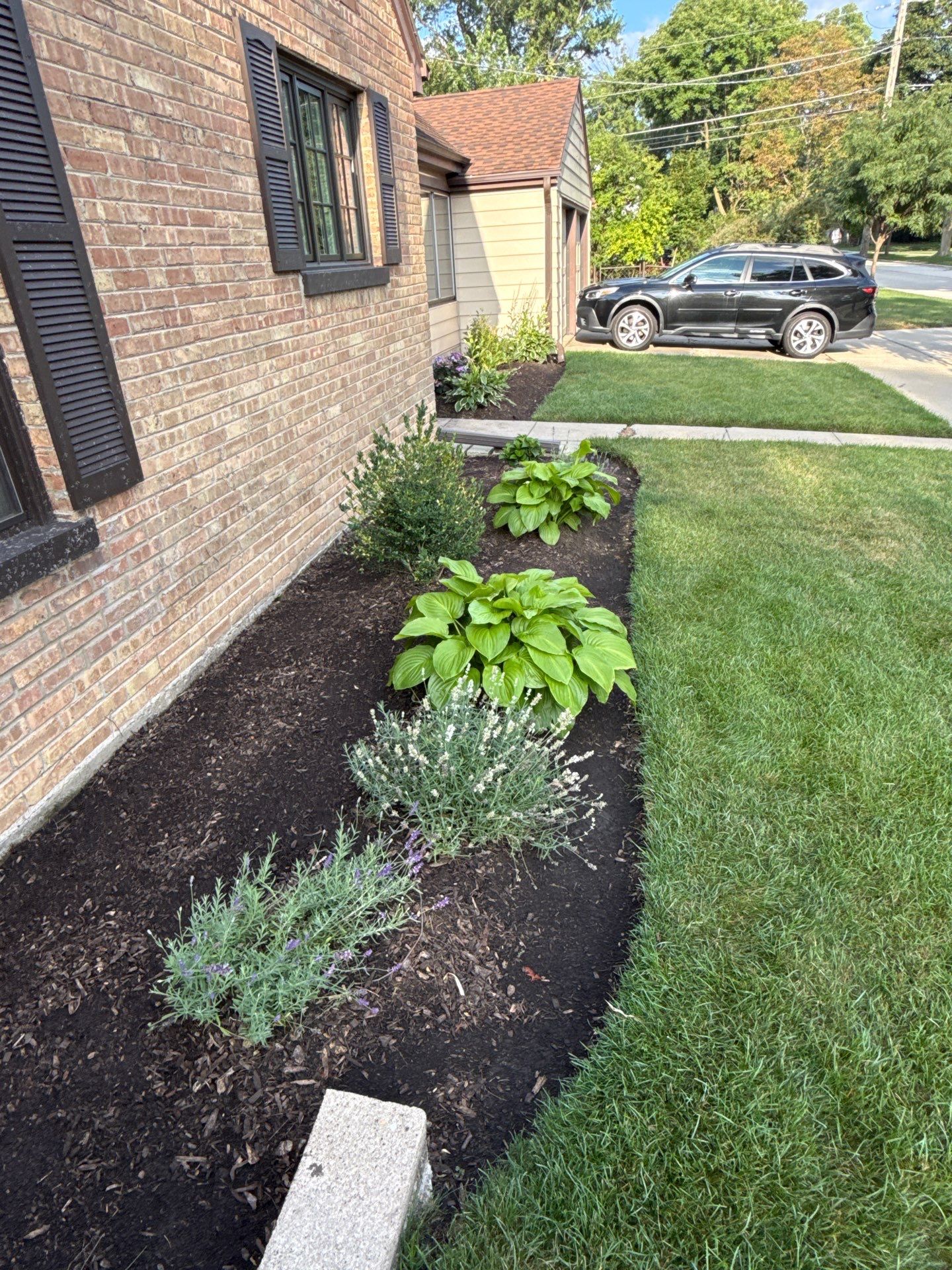 Chris S. - Mount Prospect, IL by A&N