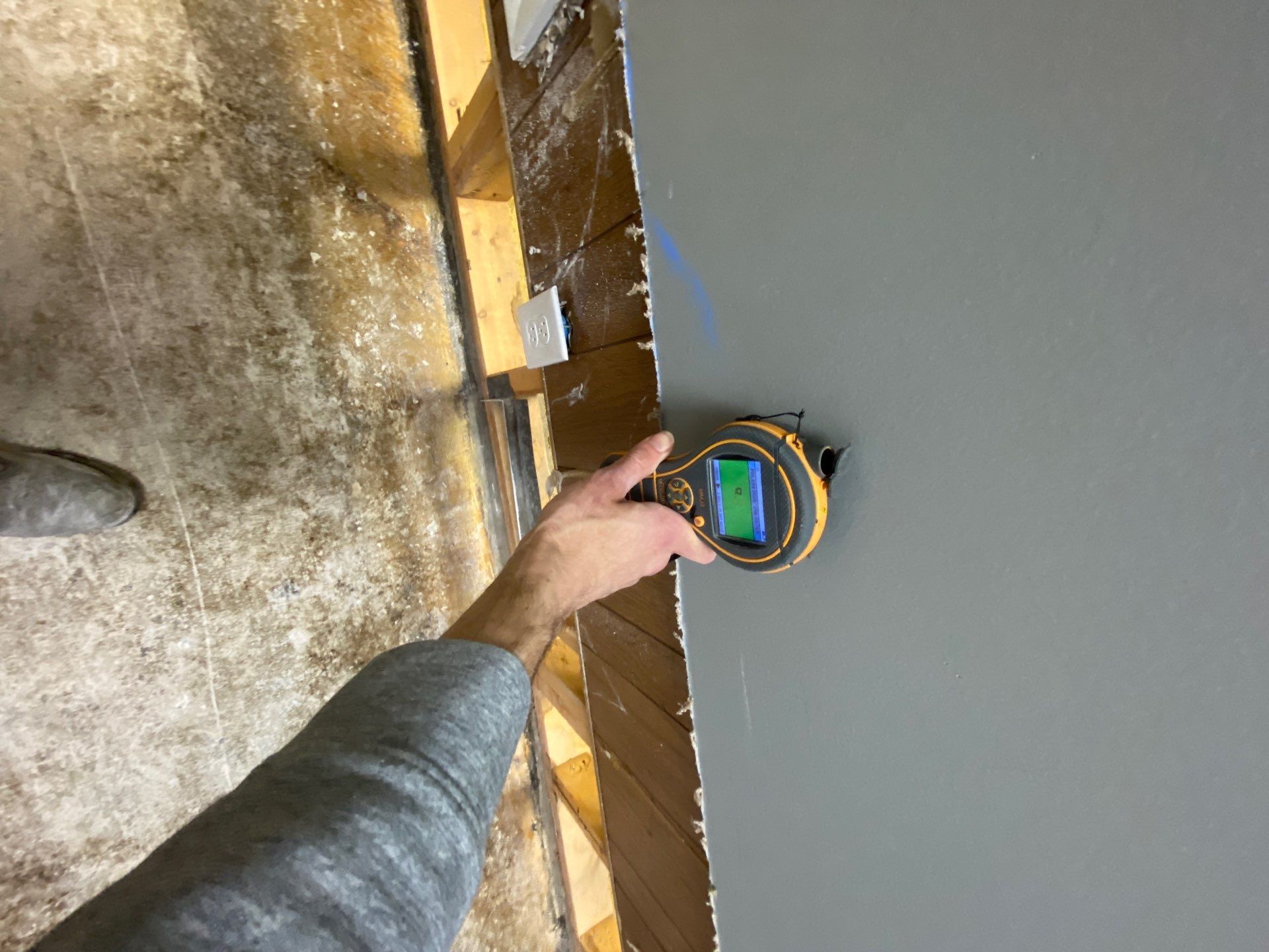 Project in Royal Oak by EzDry Water Mitigation & Property Restoration