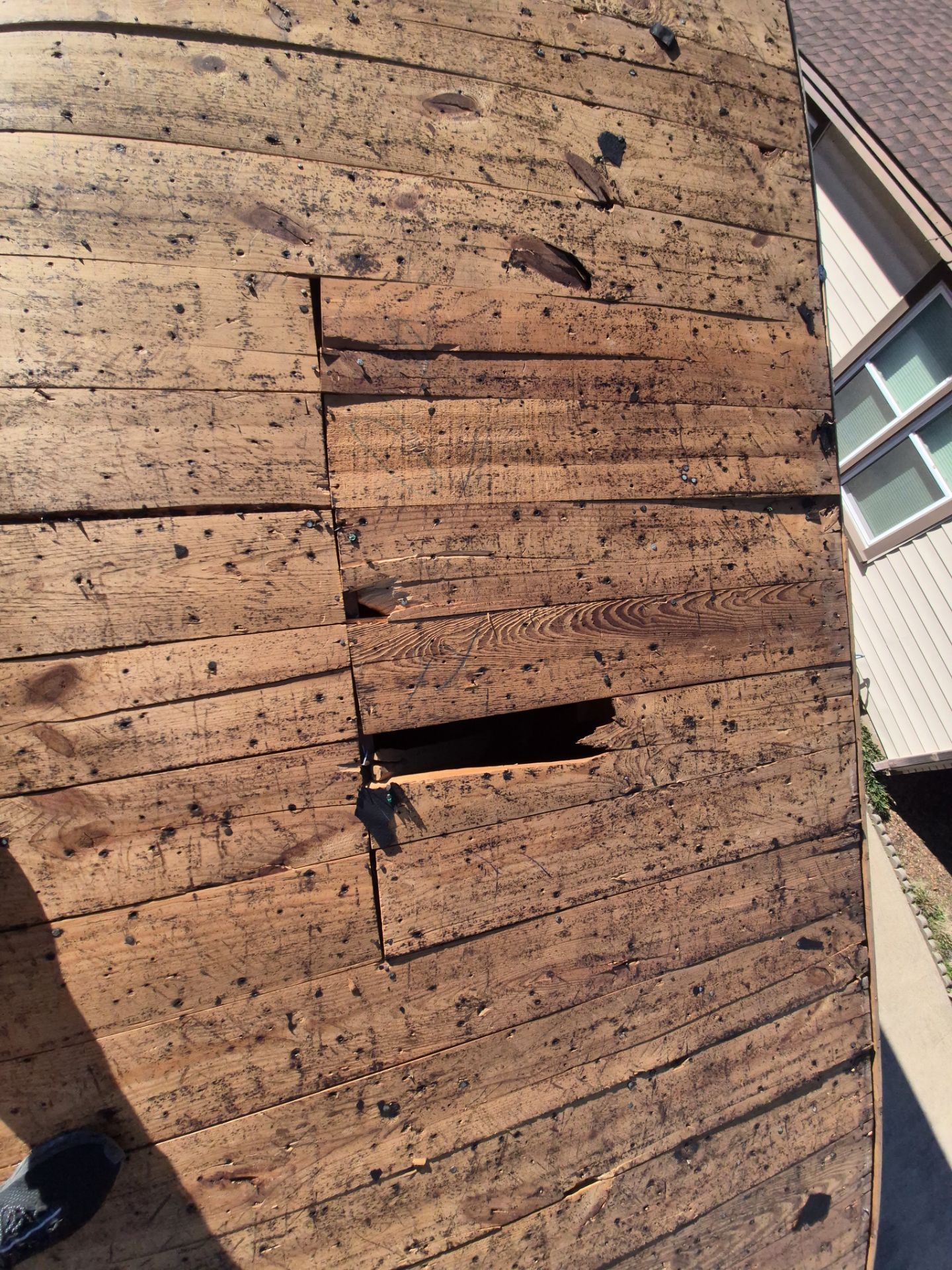 Owens Corning Duration Harbor blue, New Decking!!! by Becker Roofing and Exteriors