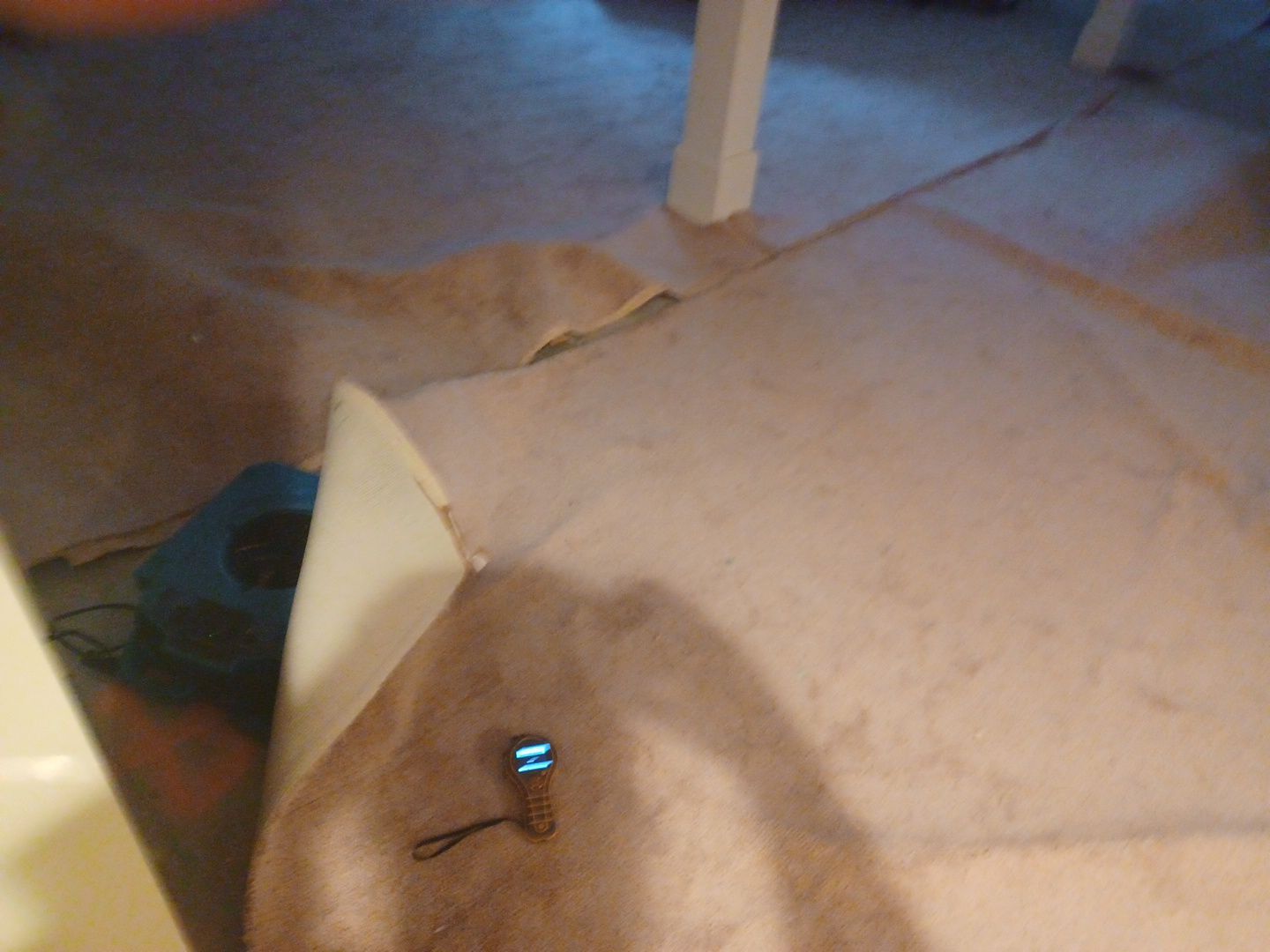 Project in West Bloomfield Township by EzDry Water Mitigation & Property Restoration