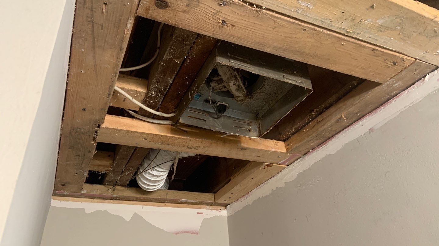 Ceiling & Shower Repair by A1 NERDY HOMES LLC