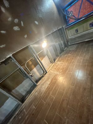 Mold Removal In Clearwater Florida