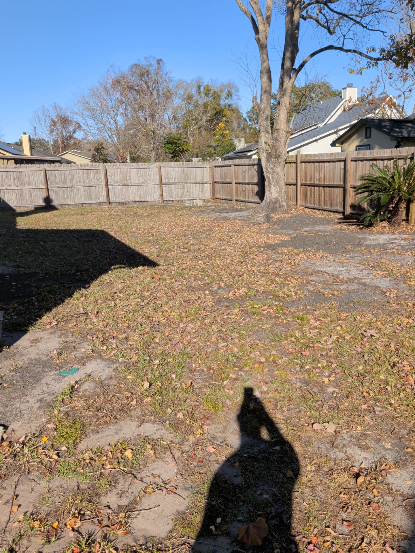 Residential Leaf Removal Service — Westside Jacksonville by Harmoni Home Services