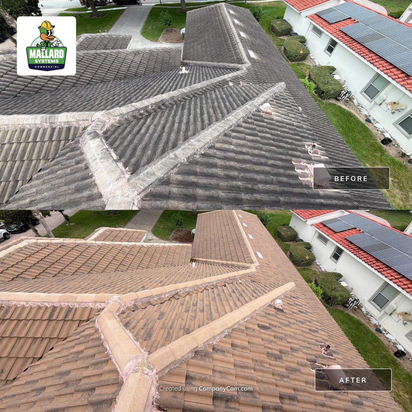 Roof and Exterior Cleaning by Mallard Systems