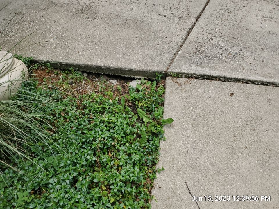 Highland Park, IL Bluestone, concrete,  Trex deck cleaning by Northern Power Washing LLC.