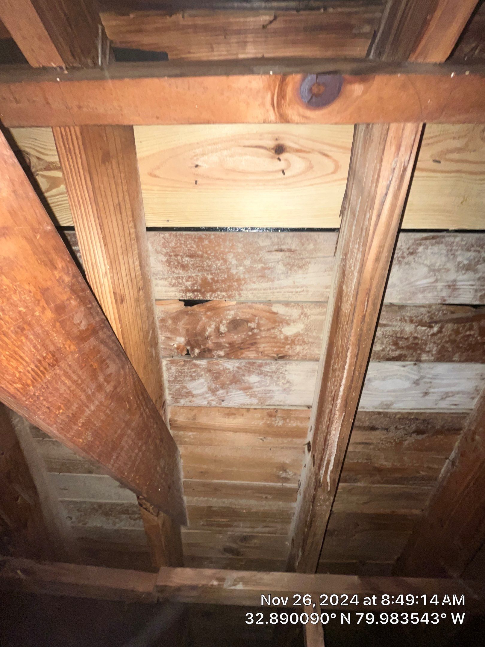 Limited Mold Remediation by EAS Environmental, LLC.