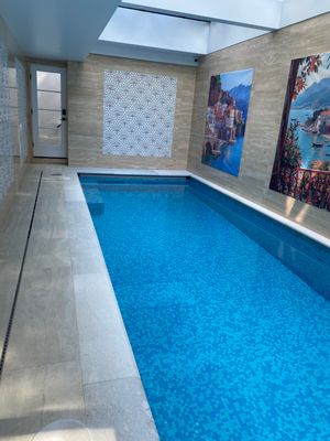 Comprehensive Technical Systems Inspection for Luxury Greenwich Estate