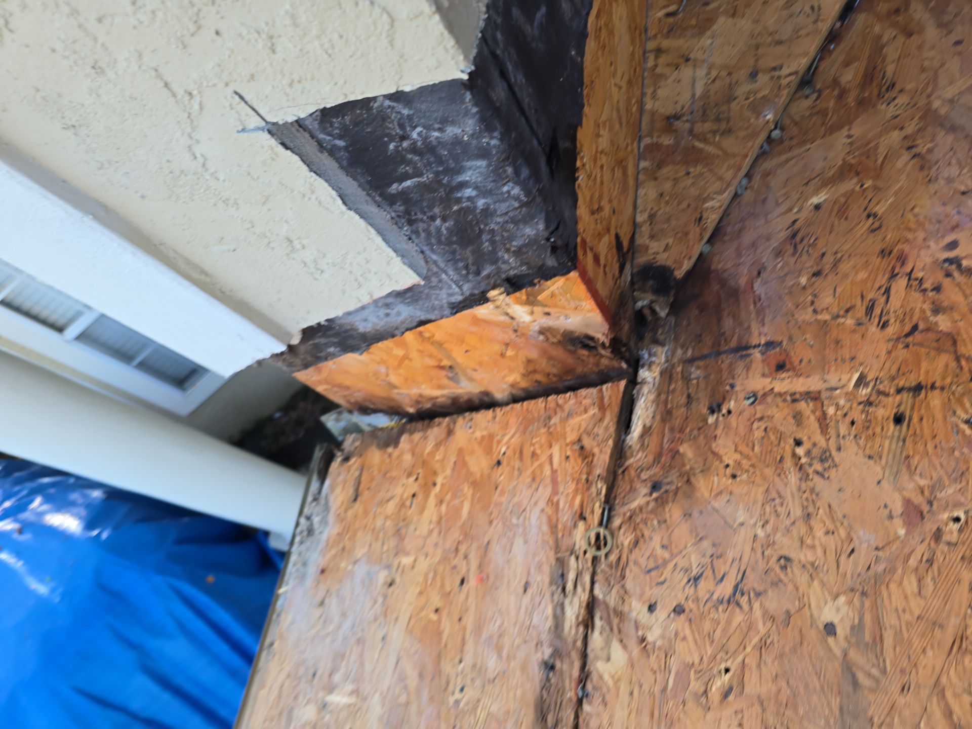 Roof Replacement in Tampa, FL by Shingle Masters Roofing