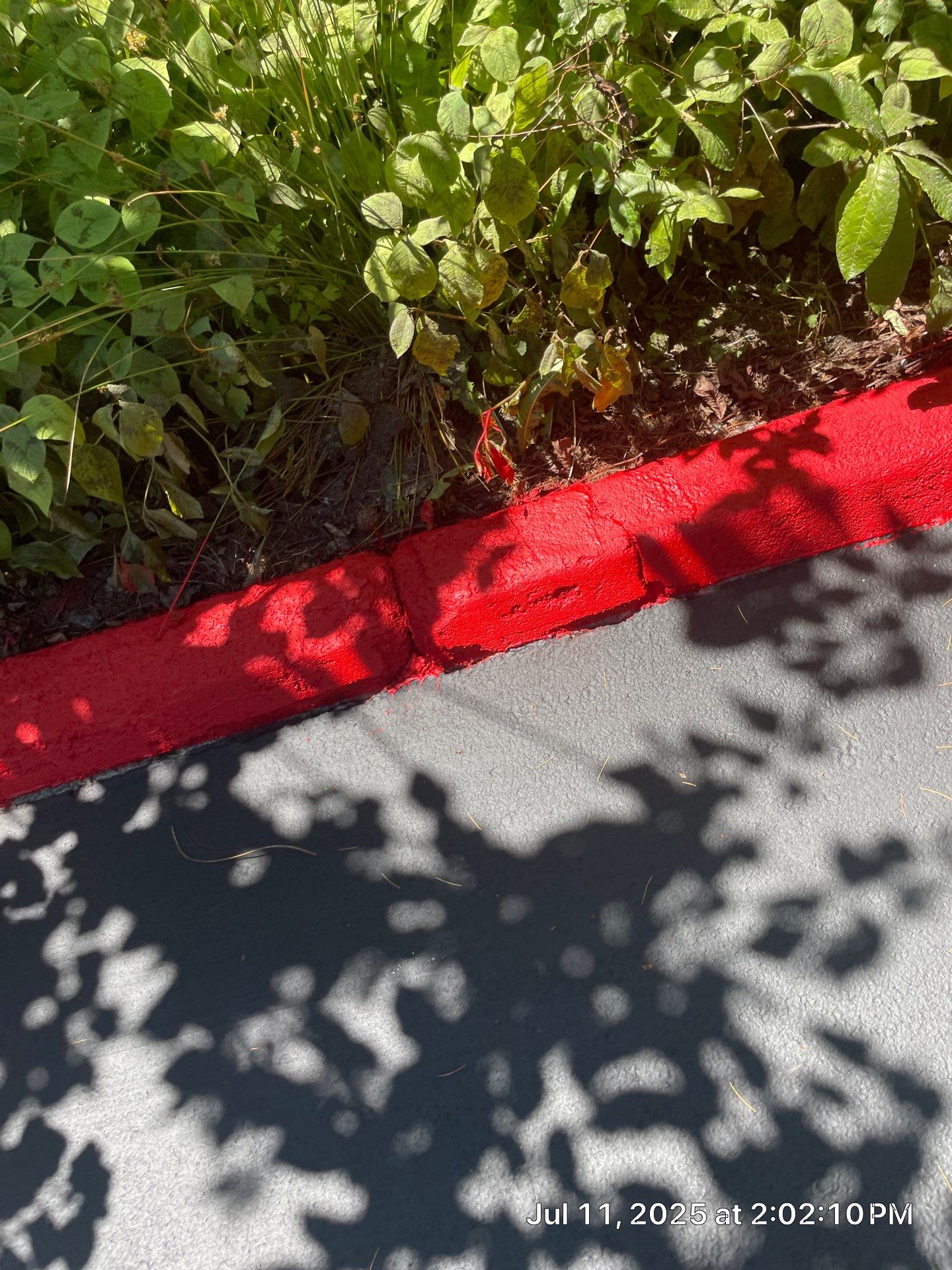 Curb Repaint | Seattle  by Jireh Asphalt & Concrete Inc 