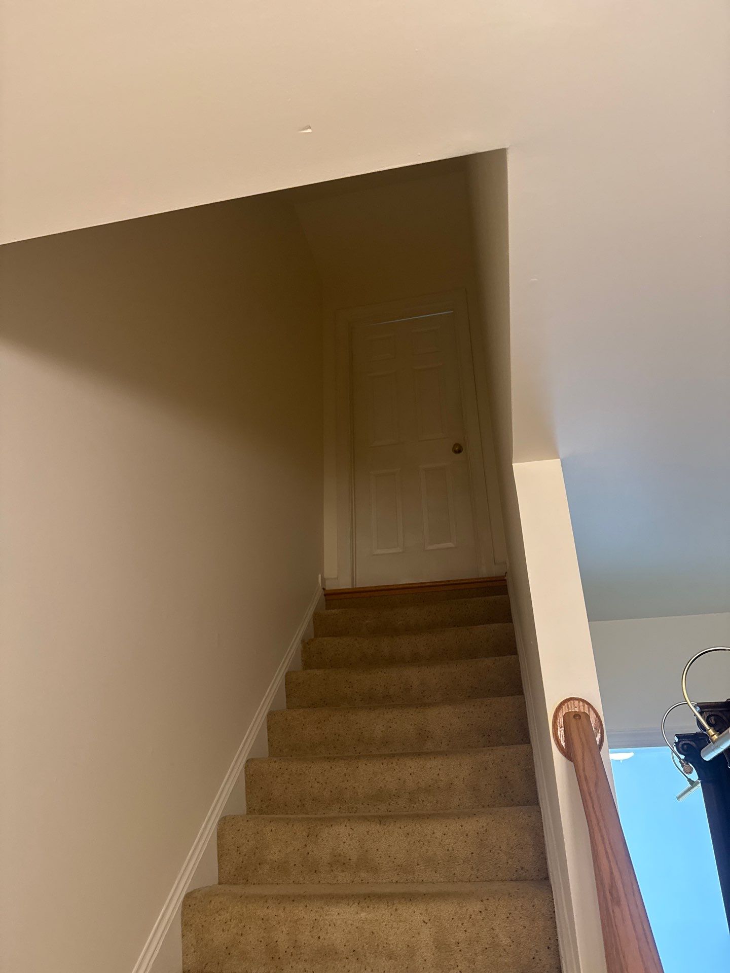 New Gutters, New Floor, New steps, New Paint job by Alpha Design Services