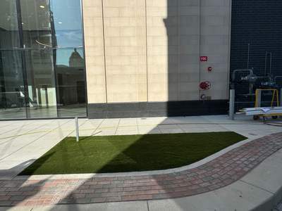 K9Grass at The Pearl