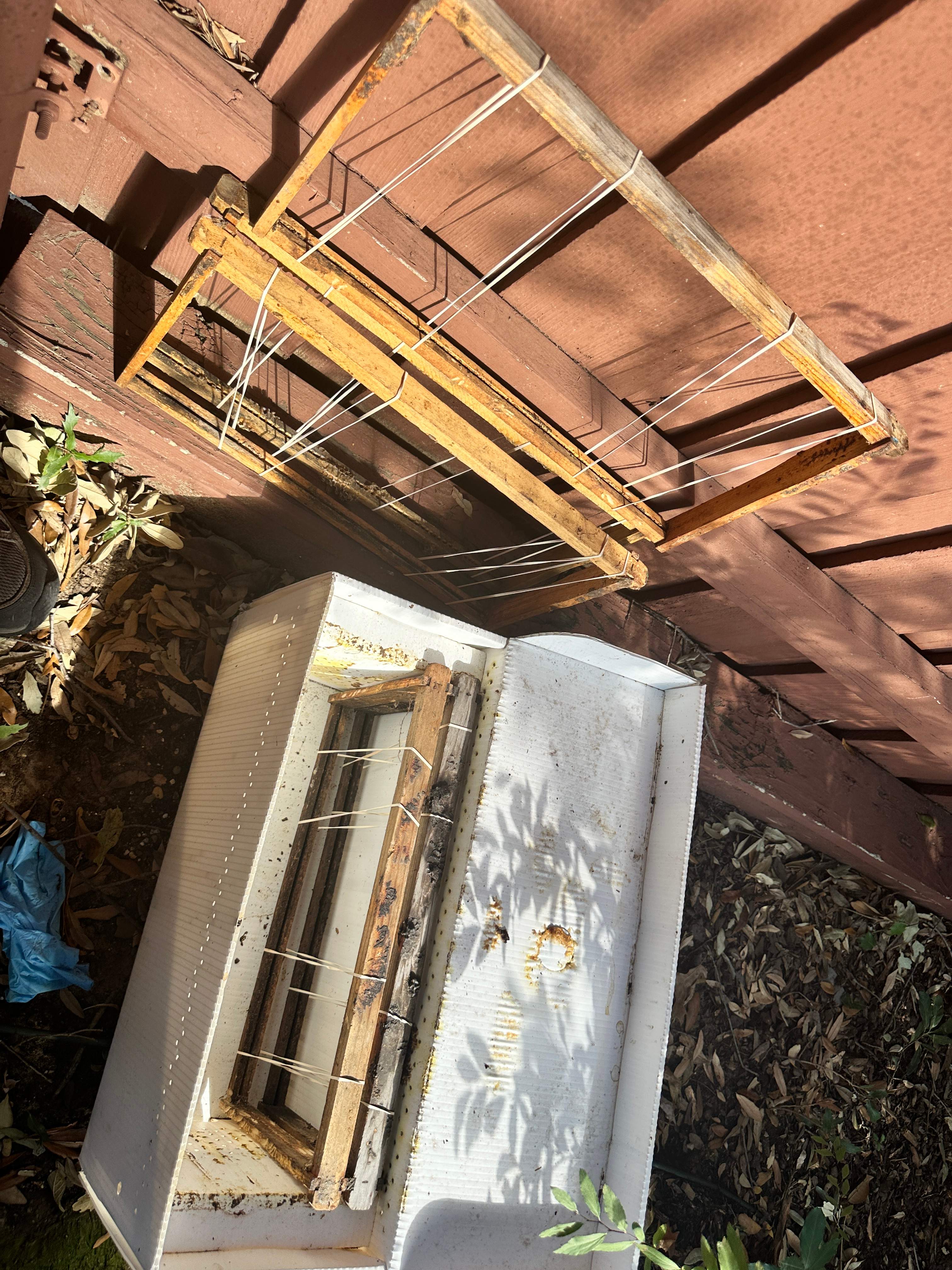 Last of 2025 by Rockwall Honey Bee Company