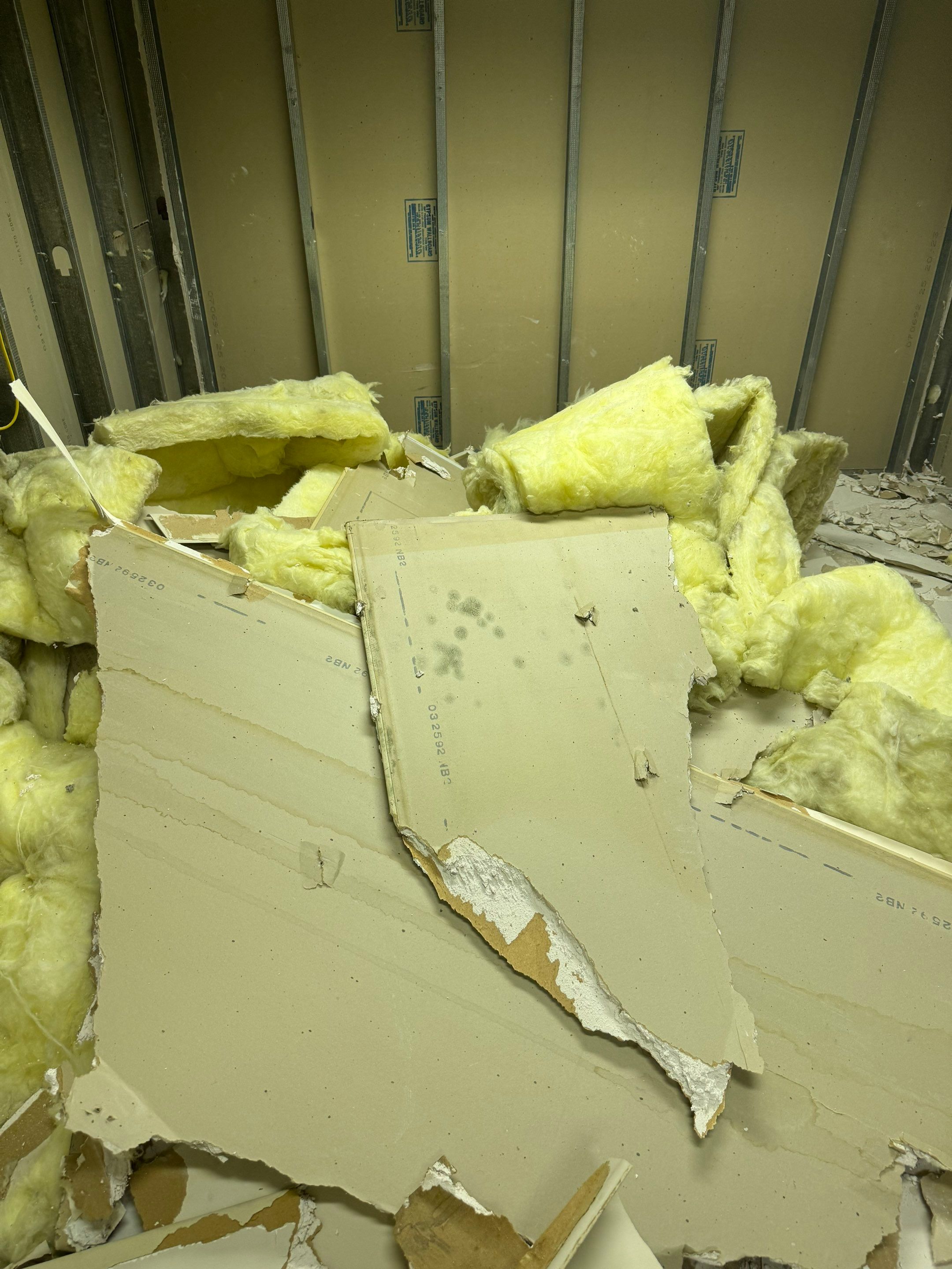 Mold Remediation Fairfield NJ by Pure Service Pro, LLC 