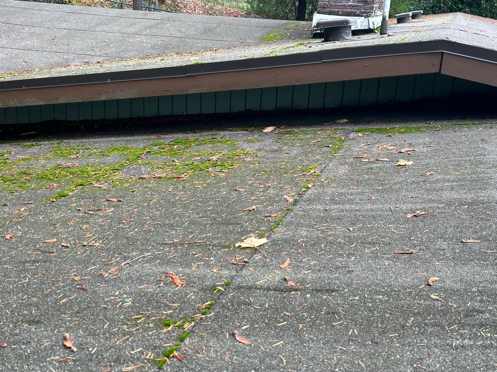 Roof Replacement in Portland by Prodigy Roof Solutions