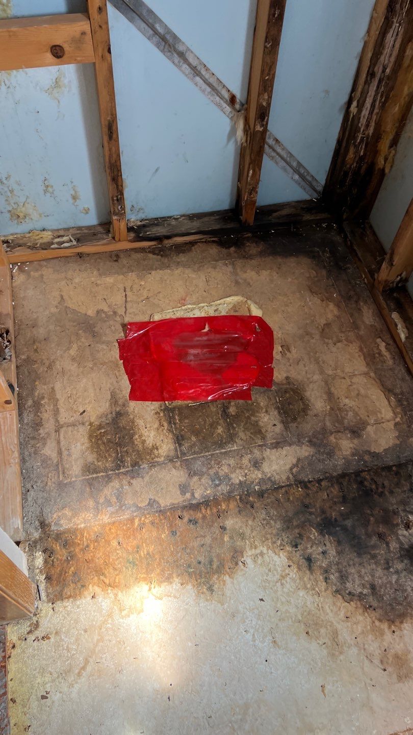 Water Damage and Mold Remediation by Accountable Home Services