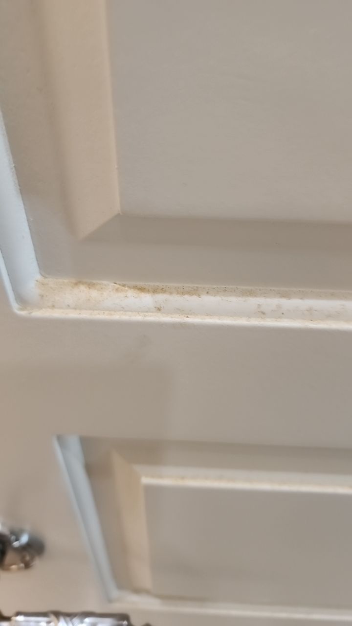 HVAC MOLD ASSESMENT by Building performance Solutions LLC