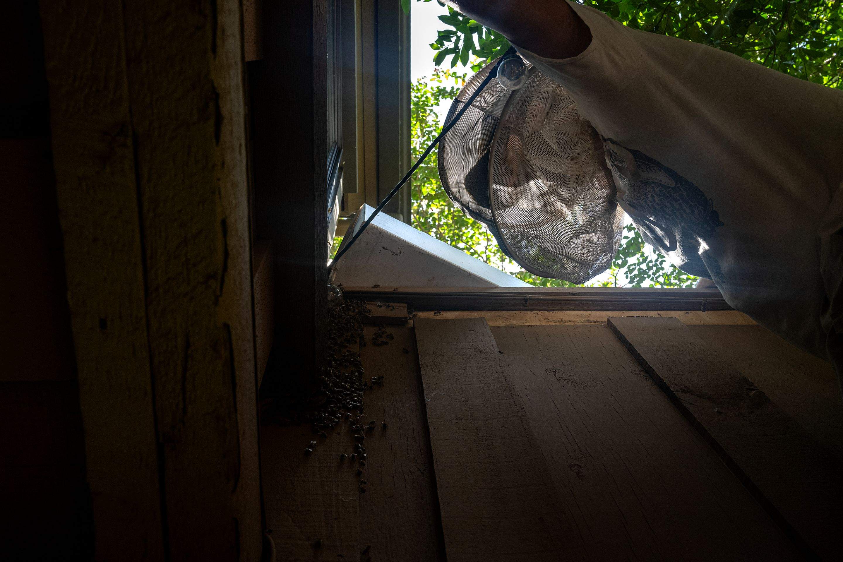 Condo Patio by Rockwall Honey Bee Company