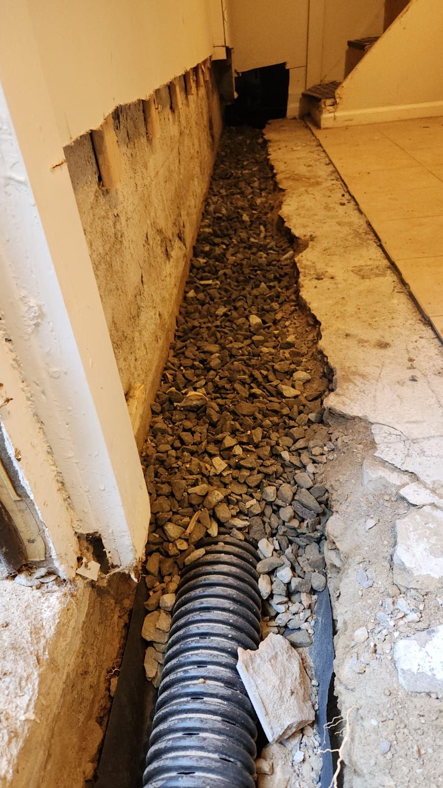Interior French Drain Newton NJ by Pure Service Pro, LLC 