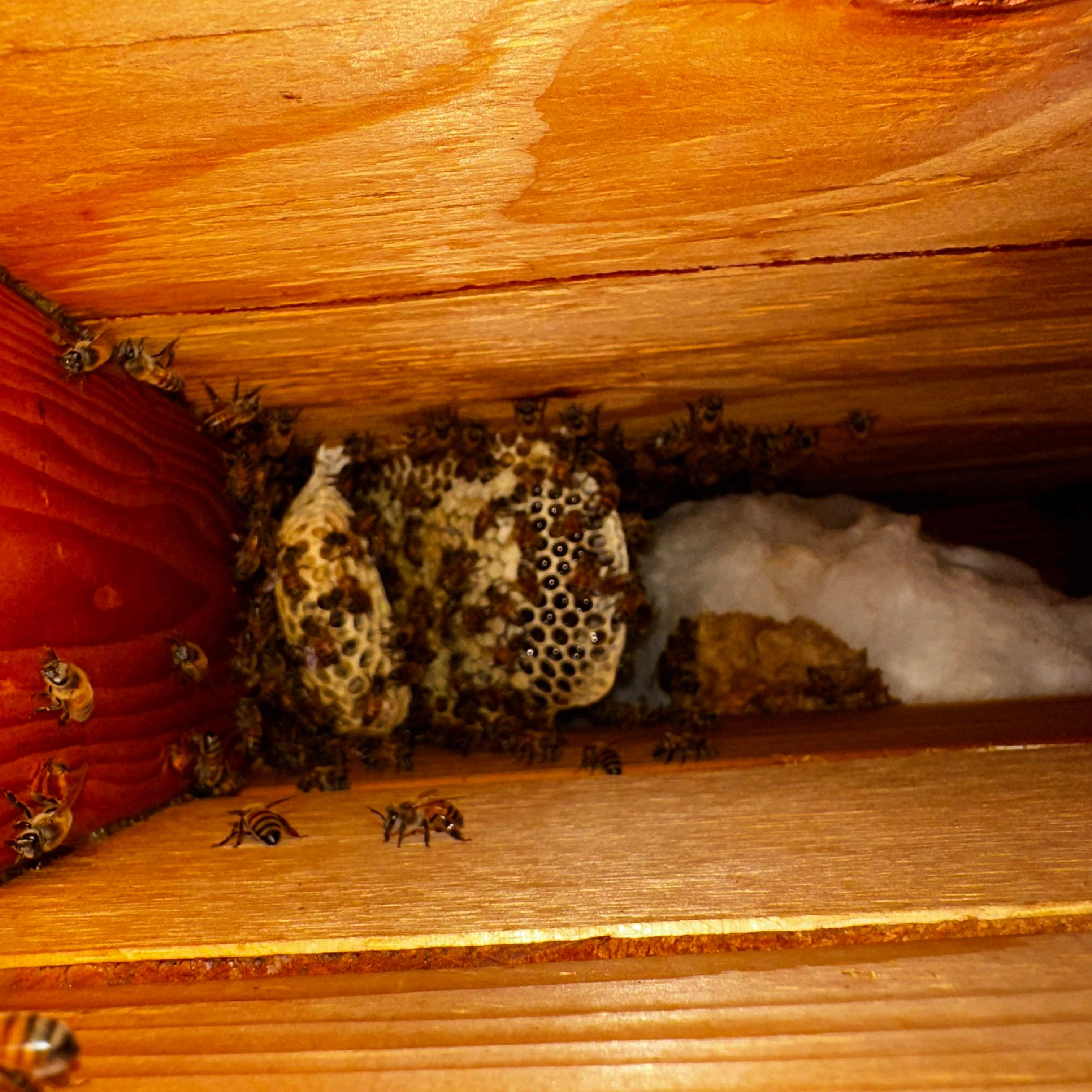 Copper Roof by Rockwall Honey Bee Company