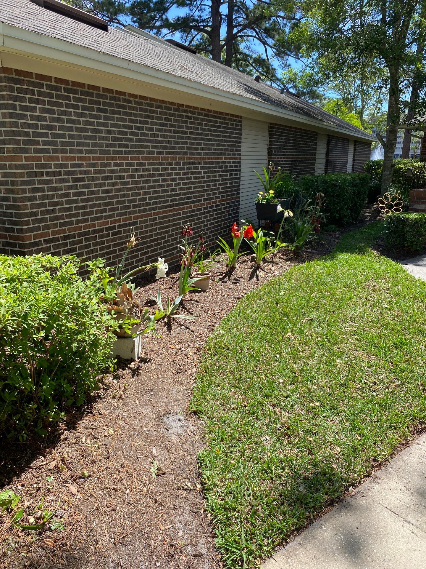 Residential | Volunteer Clean-Up by ProGreen Services
