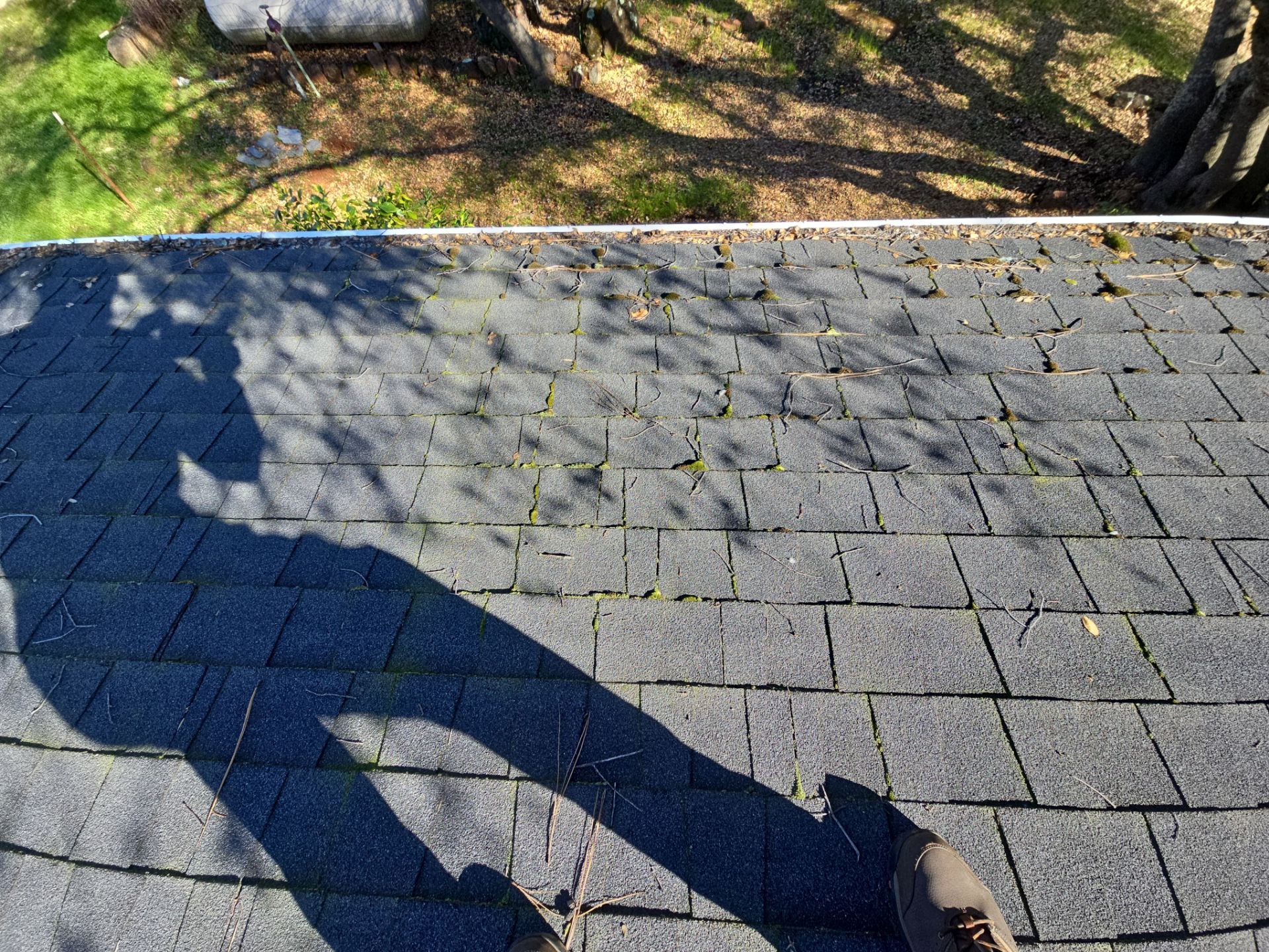  Roof Rejuvenation using Roof Maxx Treatment by Roof Maxx of Folsom