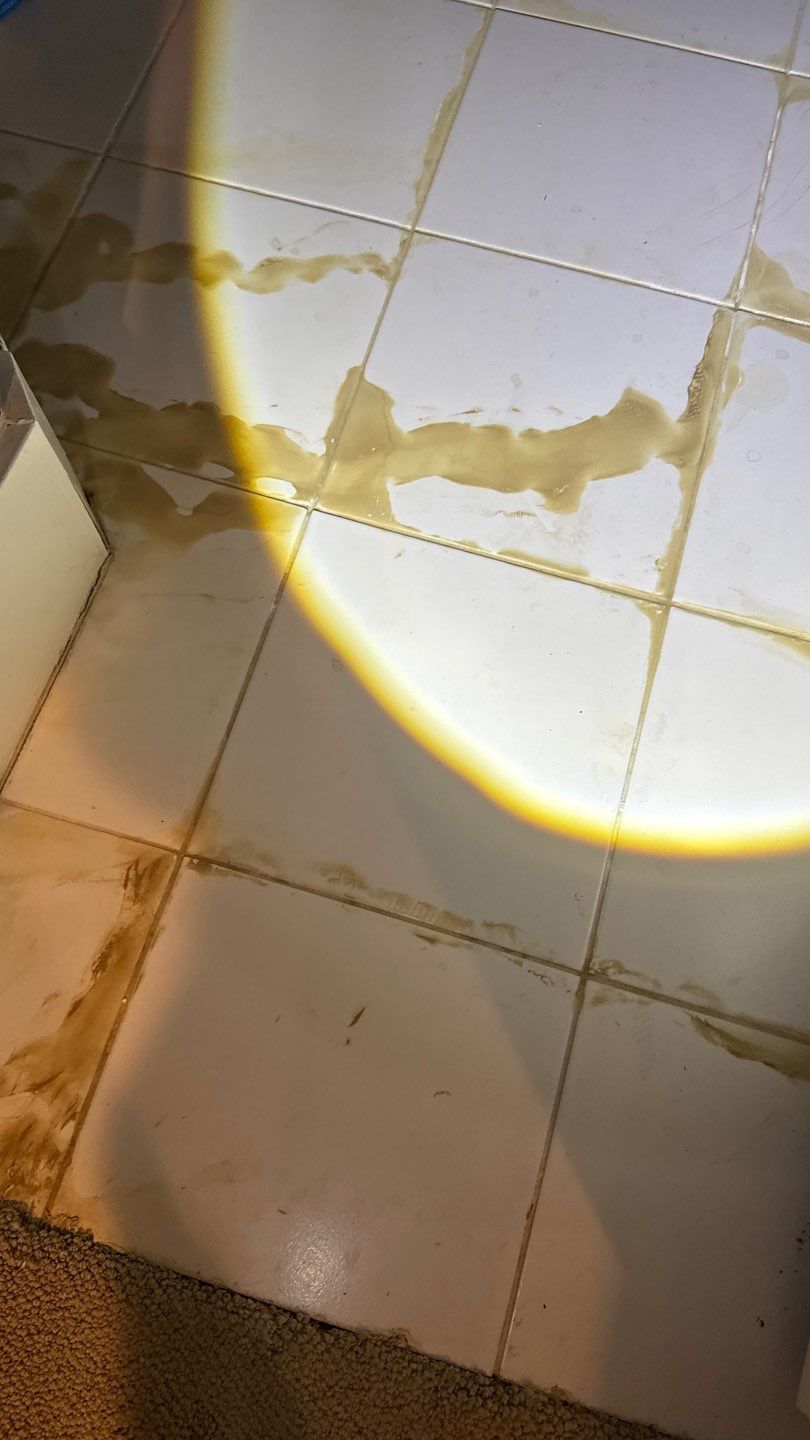 Mold Project in Englewood by Accountable Home Services