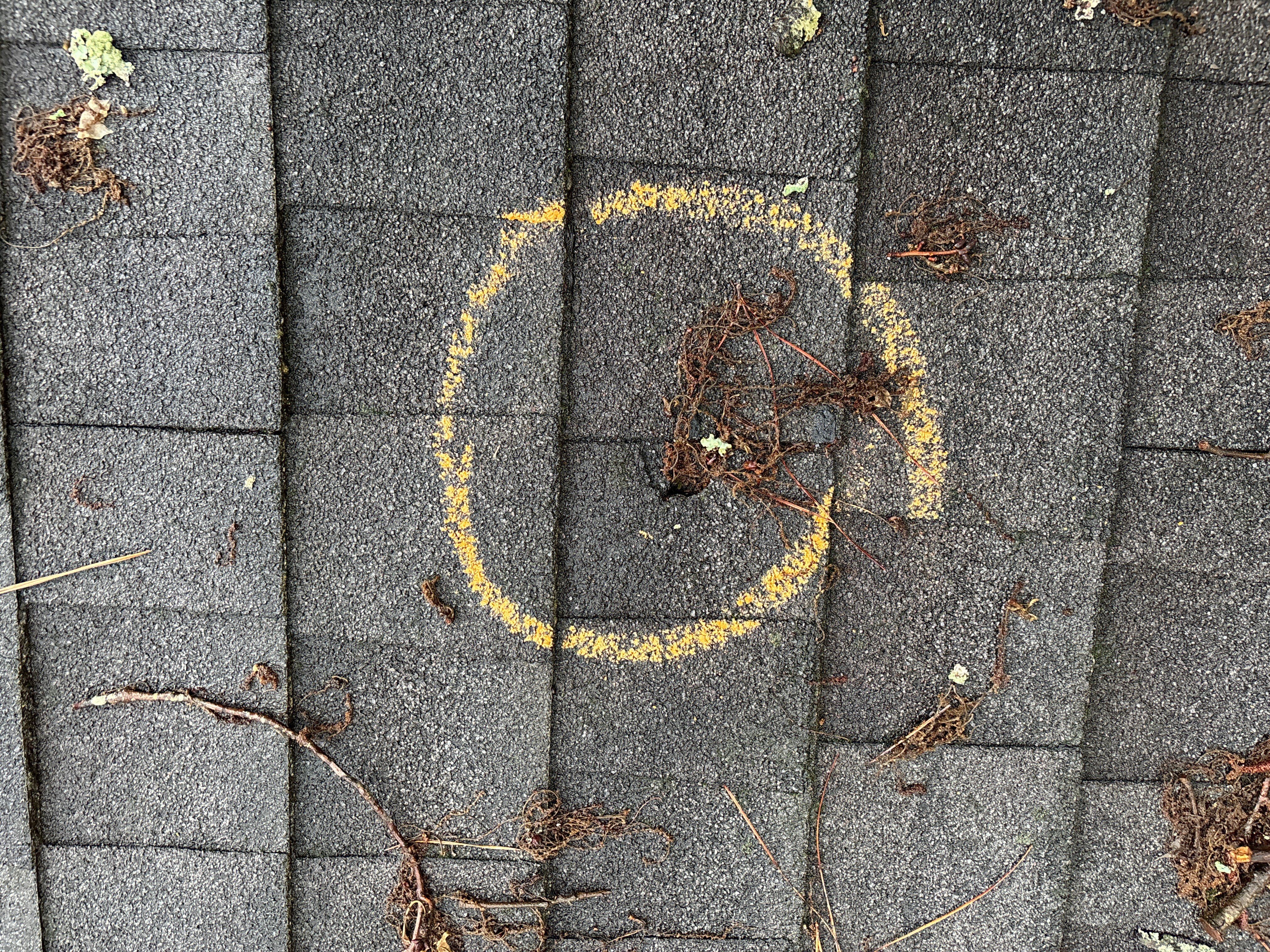 Roof replacement by Deerfield Roofing LLC
