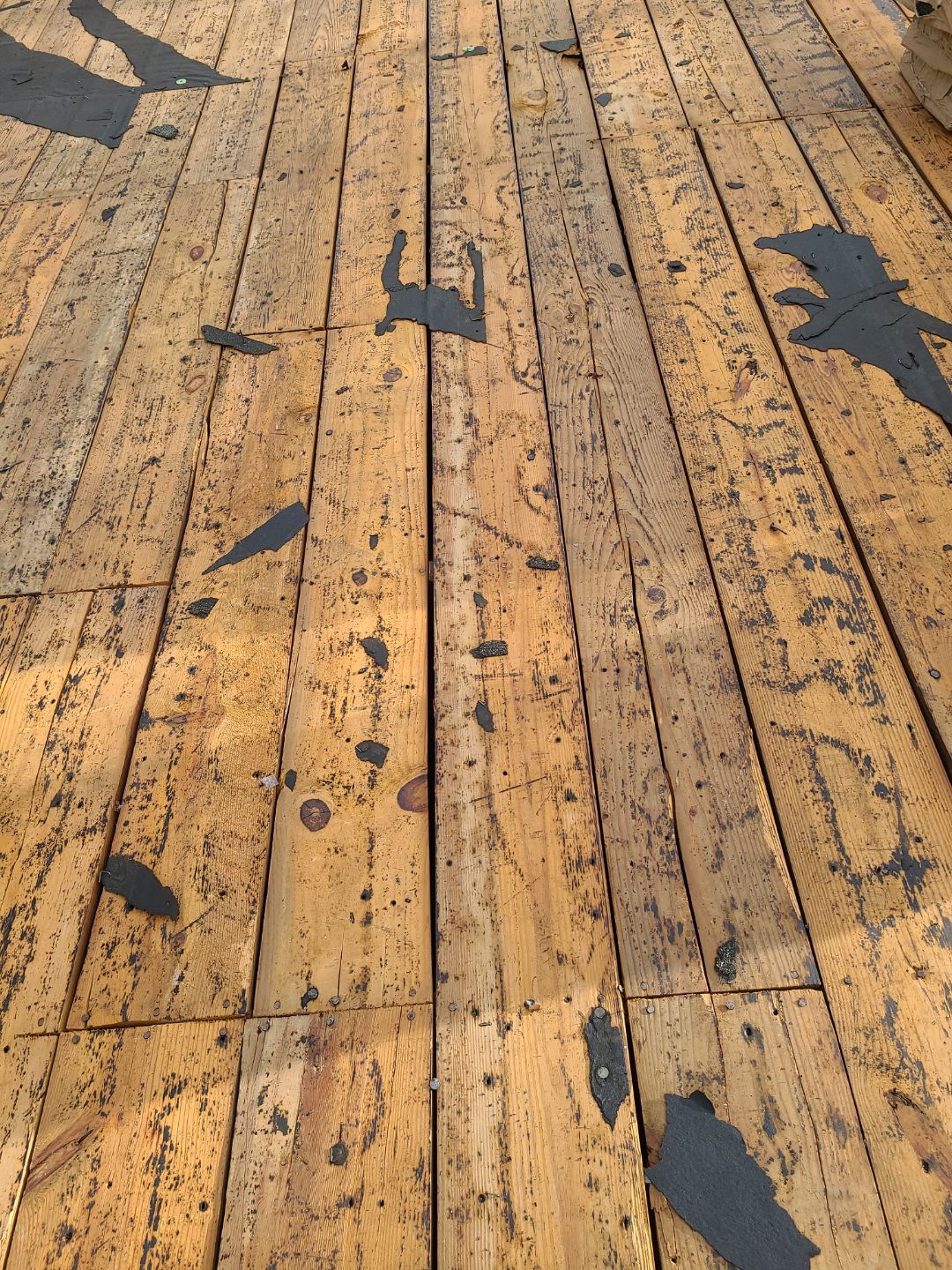 Alexandria CertainTeed Landmark Pro Roof in Max Def Charcoal Black by RM Banning, Inc.