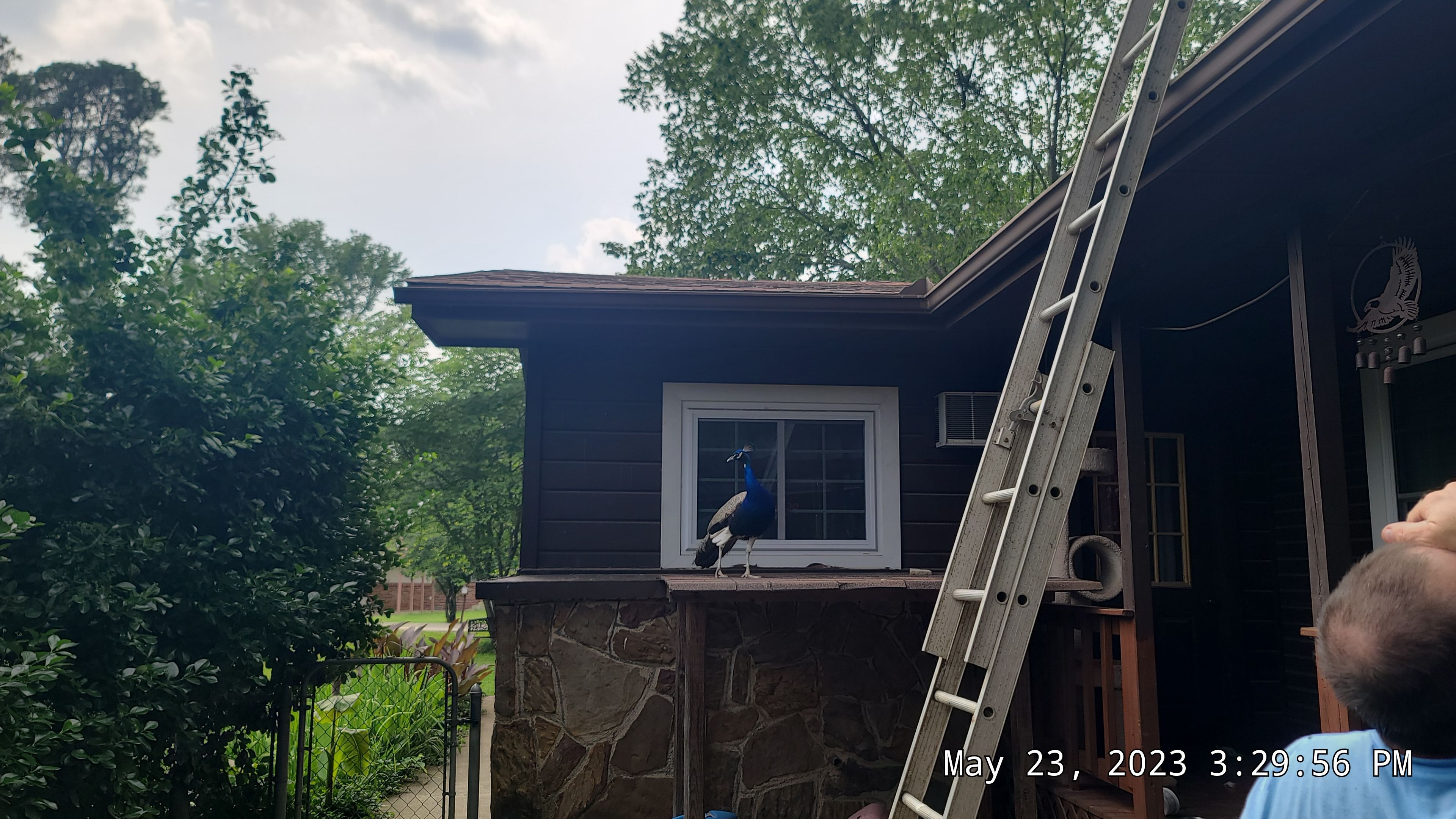 Residential Shingle Reroof using CertainTeed XT25 by Hostetler Roofing