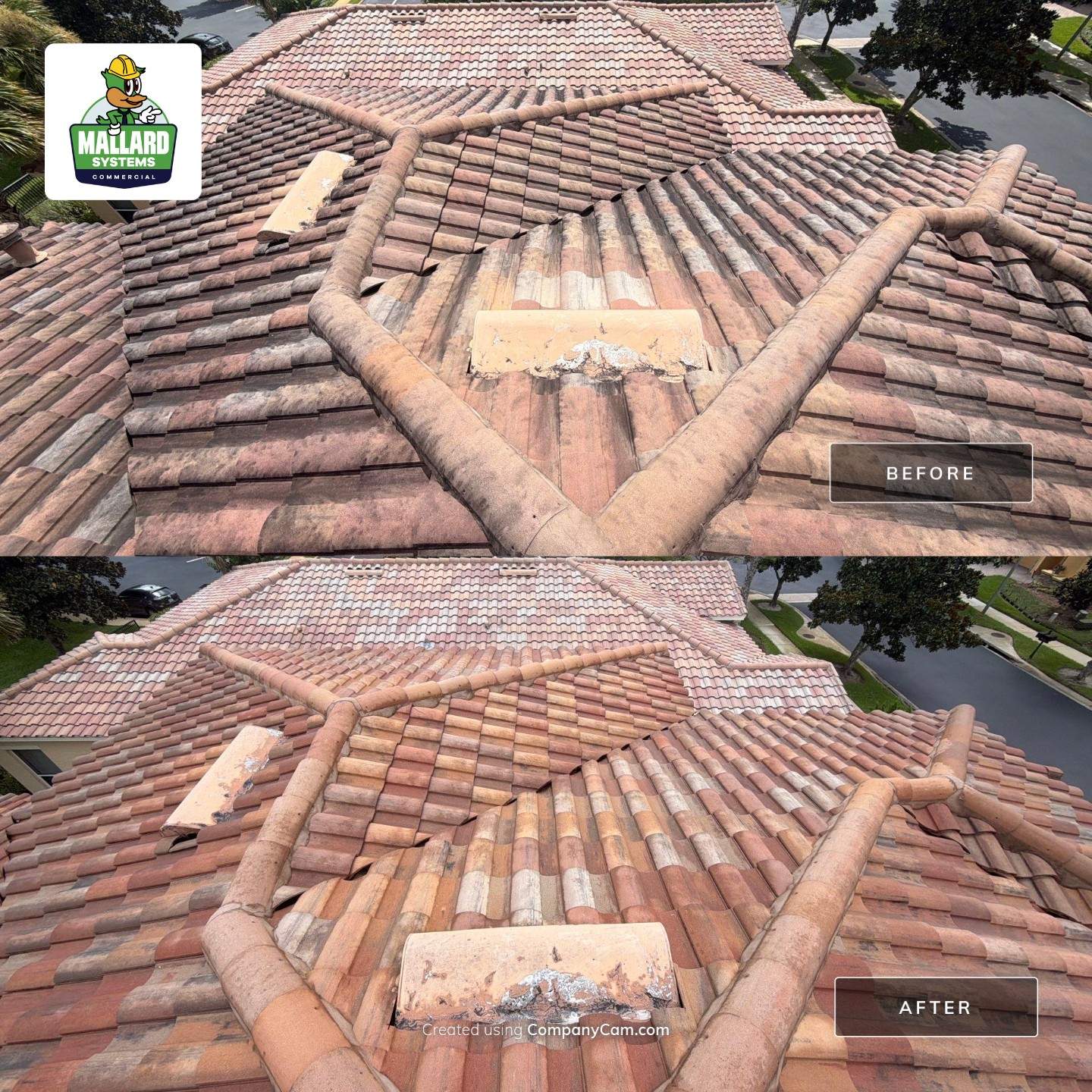Tile Roof Cleaning in Maitland by Mallard Systems
