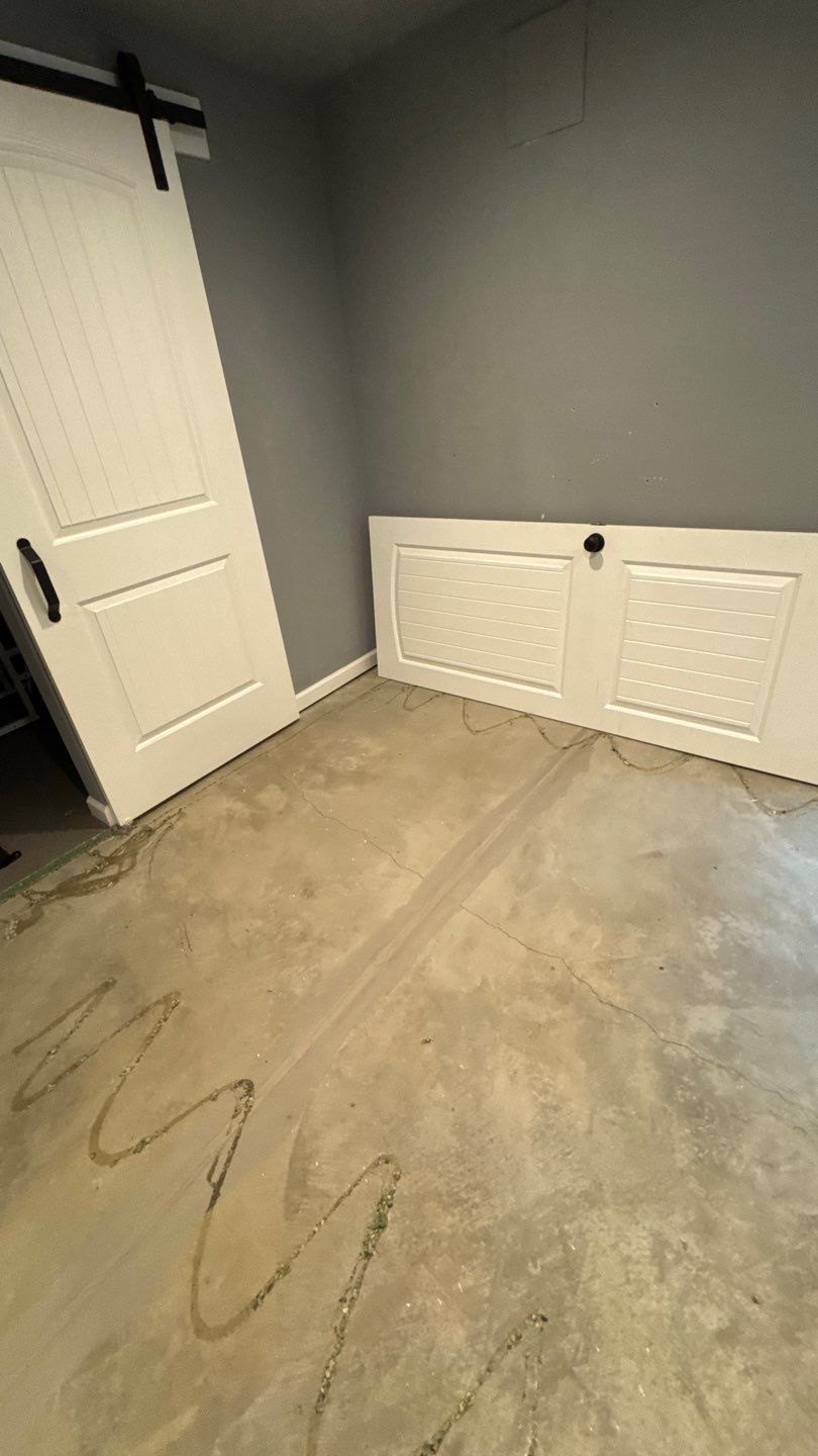 Mold Project in Thornton by Accountable Home Services
