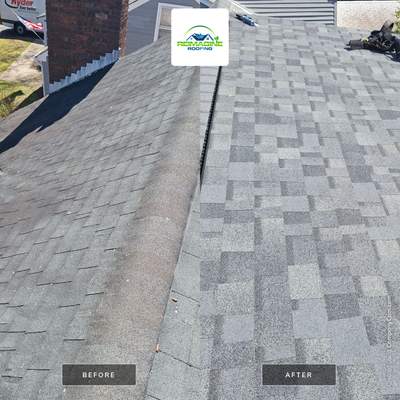 Silver Birch Shingles