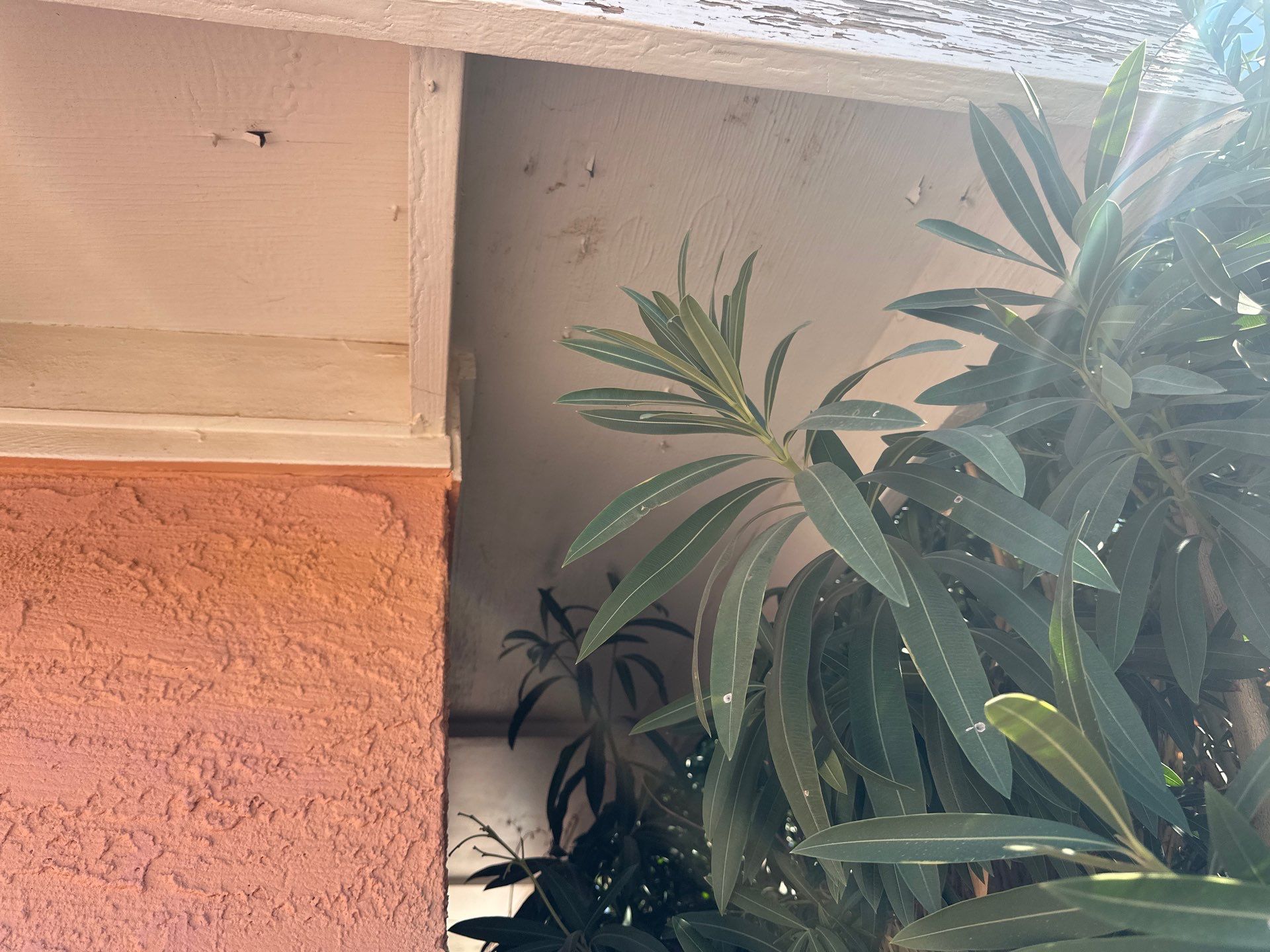 Exterior Painting - Buckeye by Crash of Rhinos Painting & Garage Floors