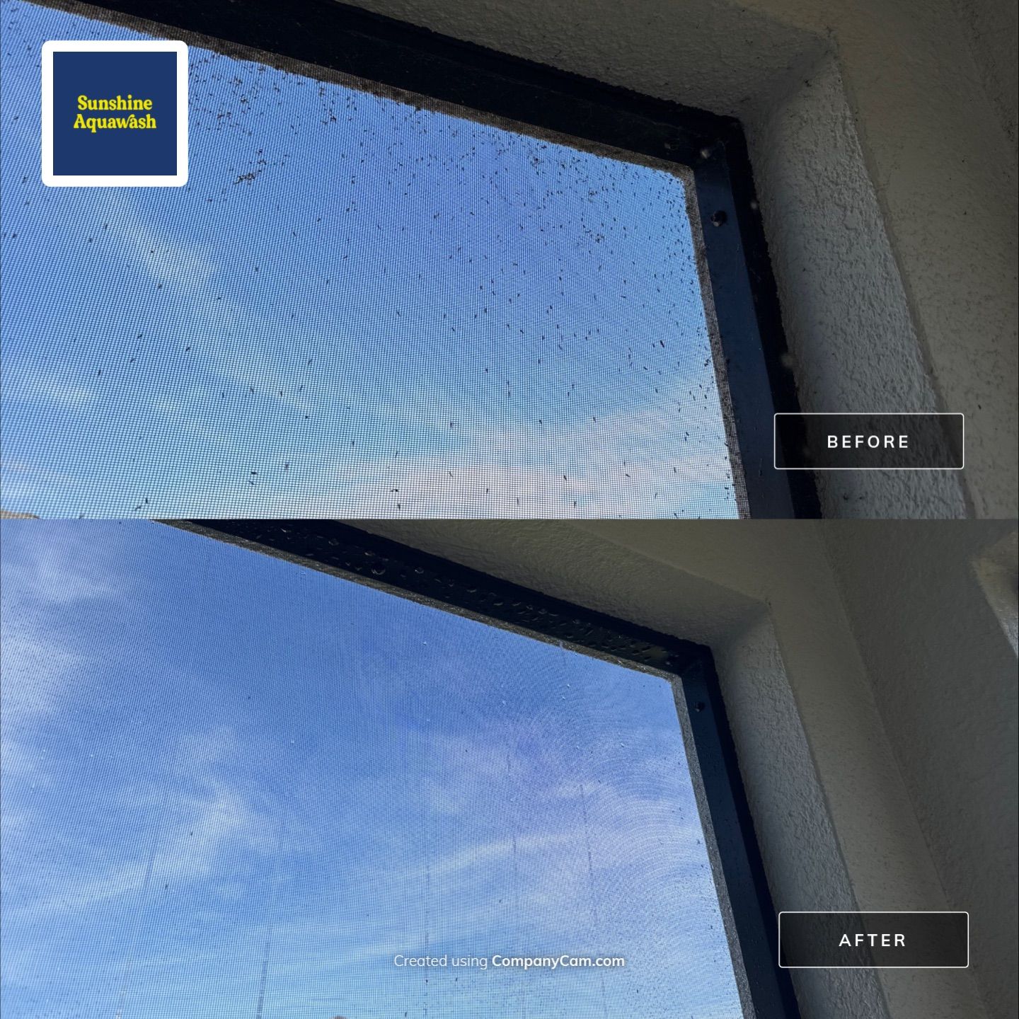 Spider Web Removal, House Wash & Lanai Cleaning in Apollo Beach, FL by Sunshine AquaWash