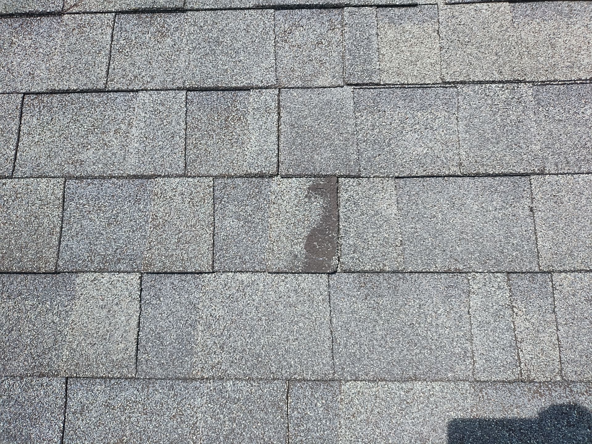 Residential Roofing Installation using Performance Shingles by Mr. Roofer