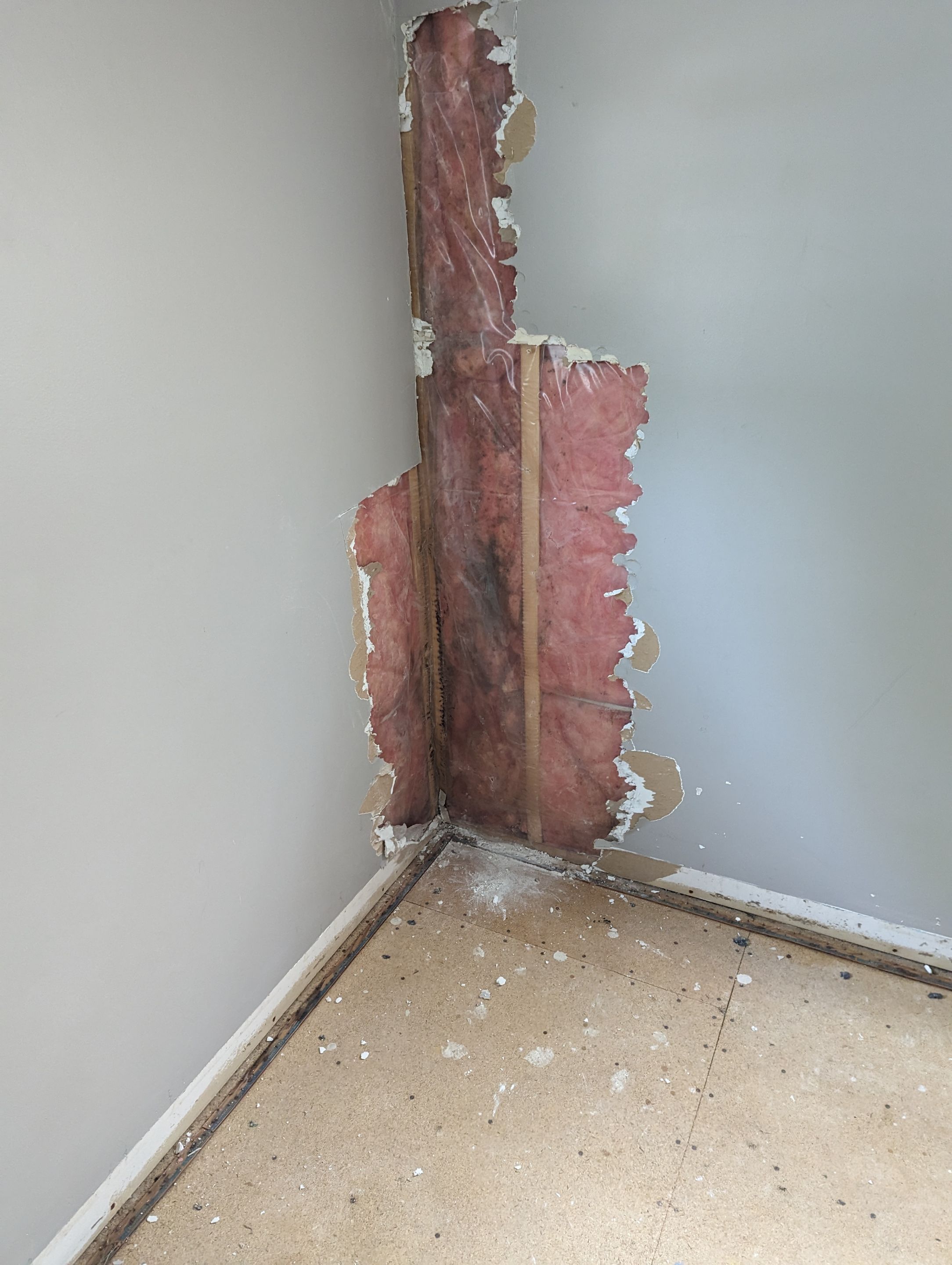 Mold Remediation in Bedroom  by ANR Restoration