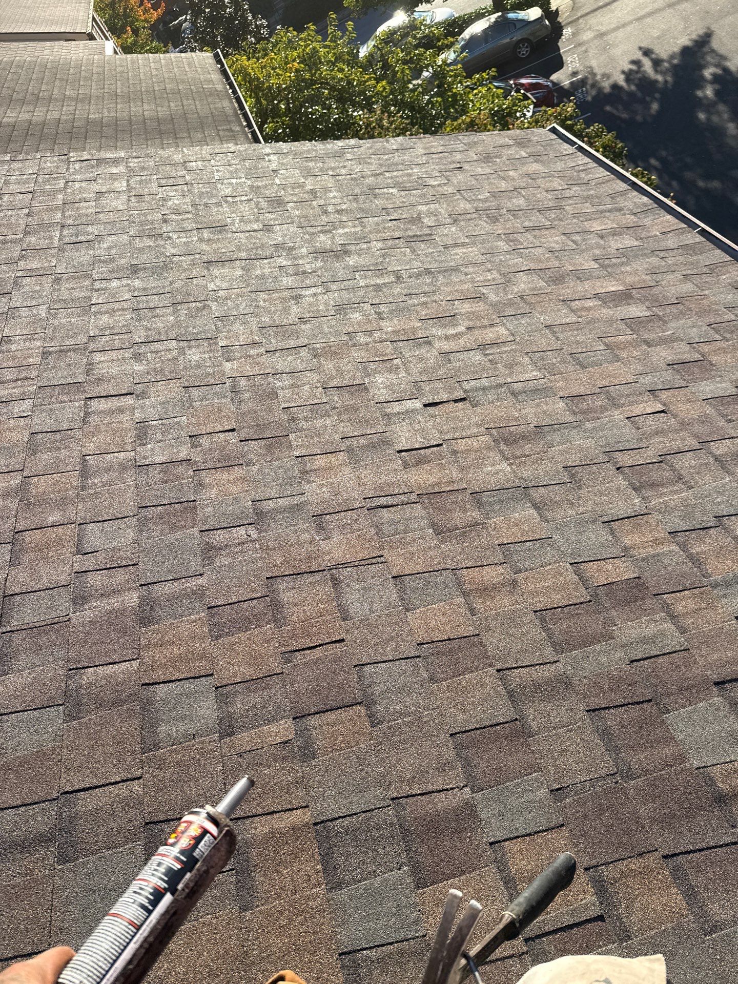 Alexandria : Residential Roof Replacement with CertainTeed Landmark Pro in Max Def Heather Blend  by RM Banning, Inc.