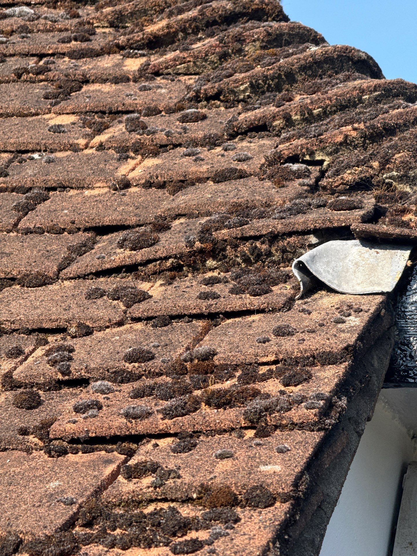Roof Clean - Gutter Clean - Biocide Treatment by Ges Exterior Cleaning ltd