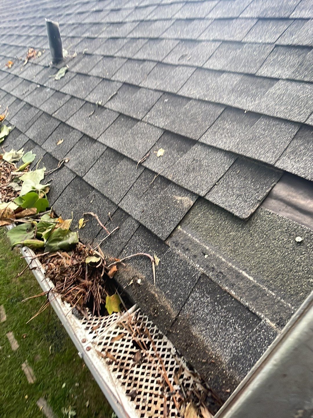 🌳 Tree Limb Hole Repair by Georgia Roof Advisors