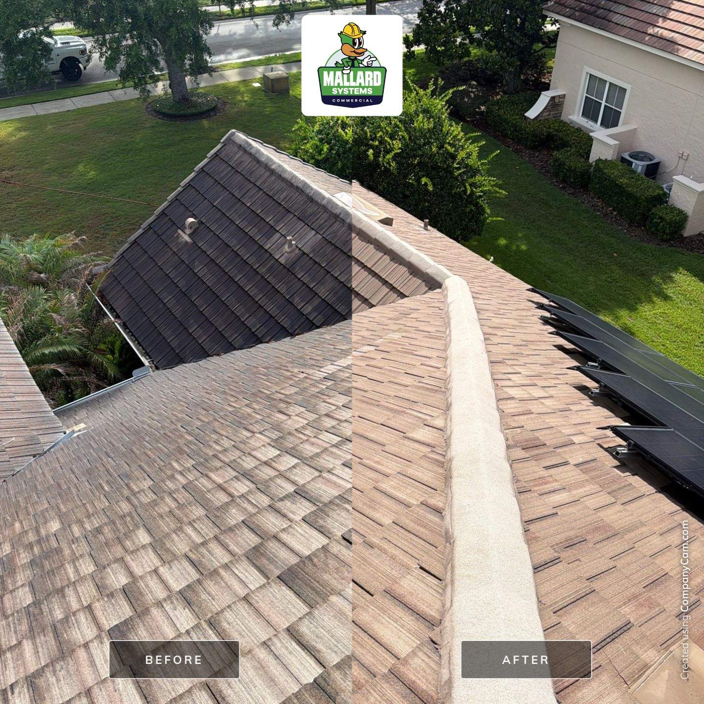 Tile Roof Cleaning in Windermere by Mallard Systems