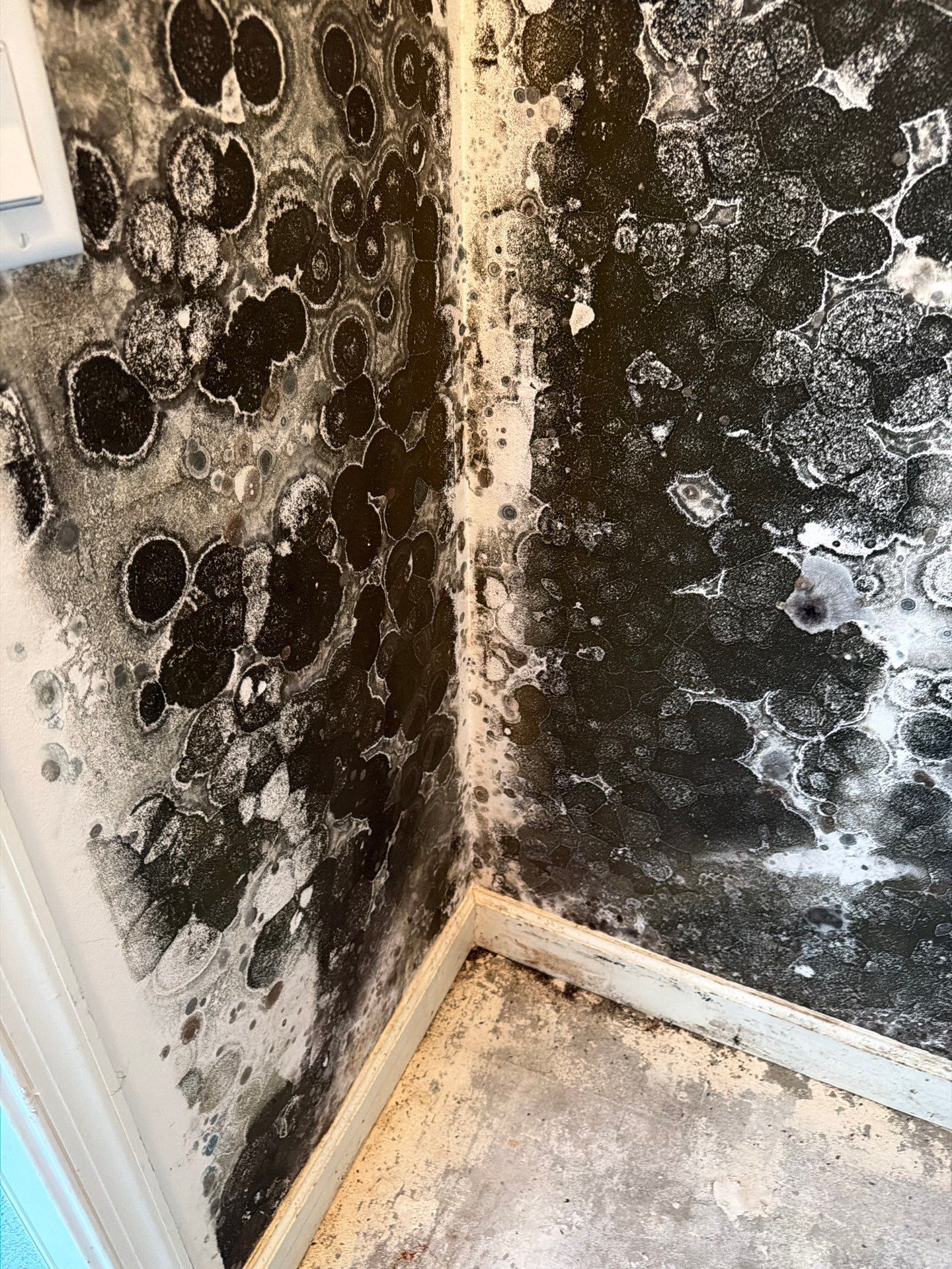 Mold Remediation and Interior Structural Drying in Wellington, Florida by SuperClean