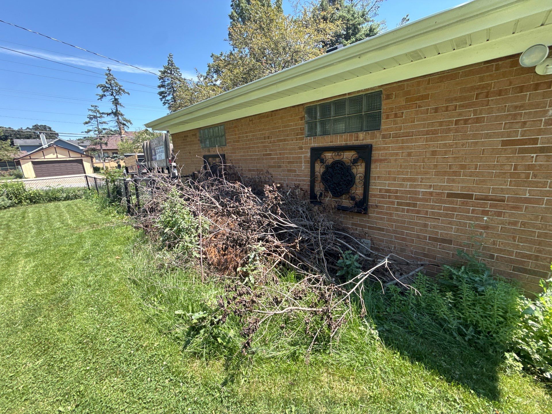 Helen N. - Arlington Heights, IL by A&N 