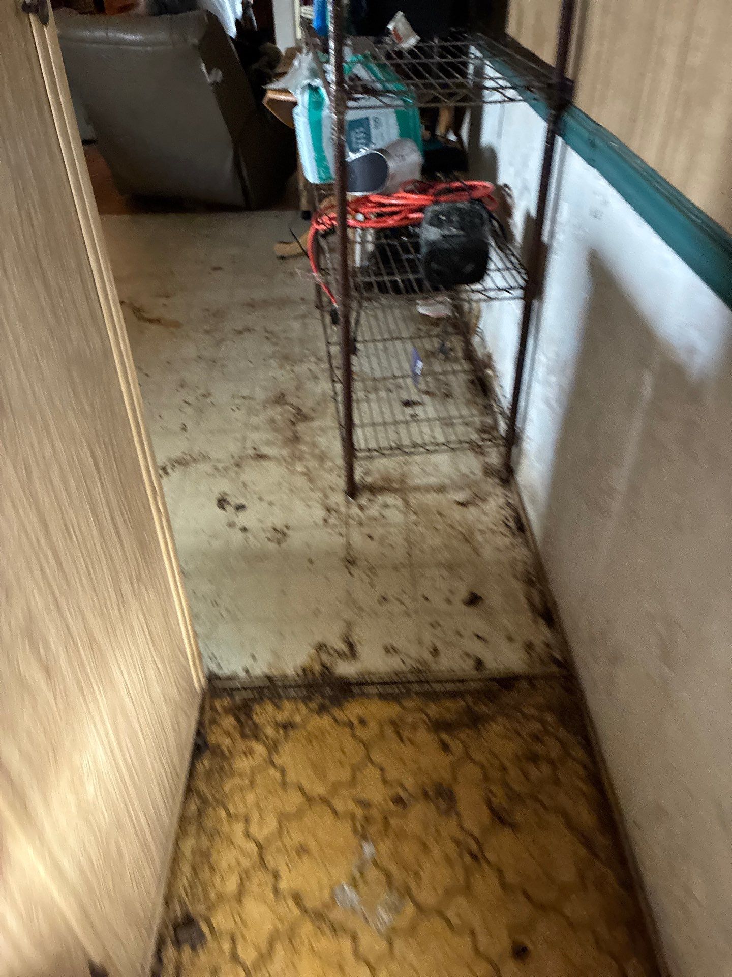 Project in Auburn by 911 Hazmat Cleanup 