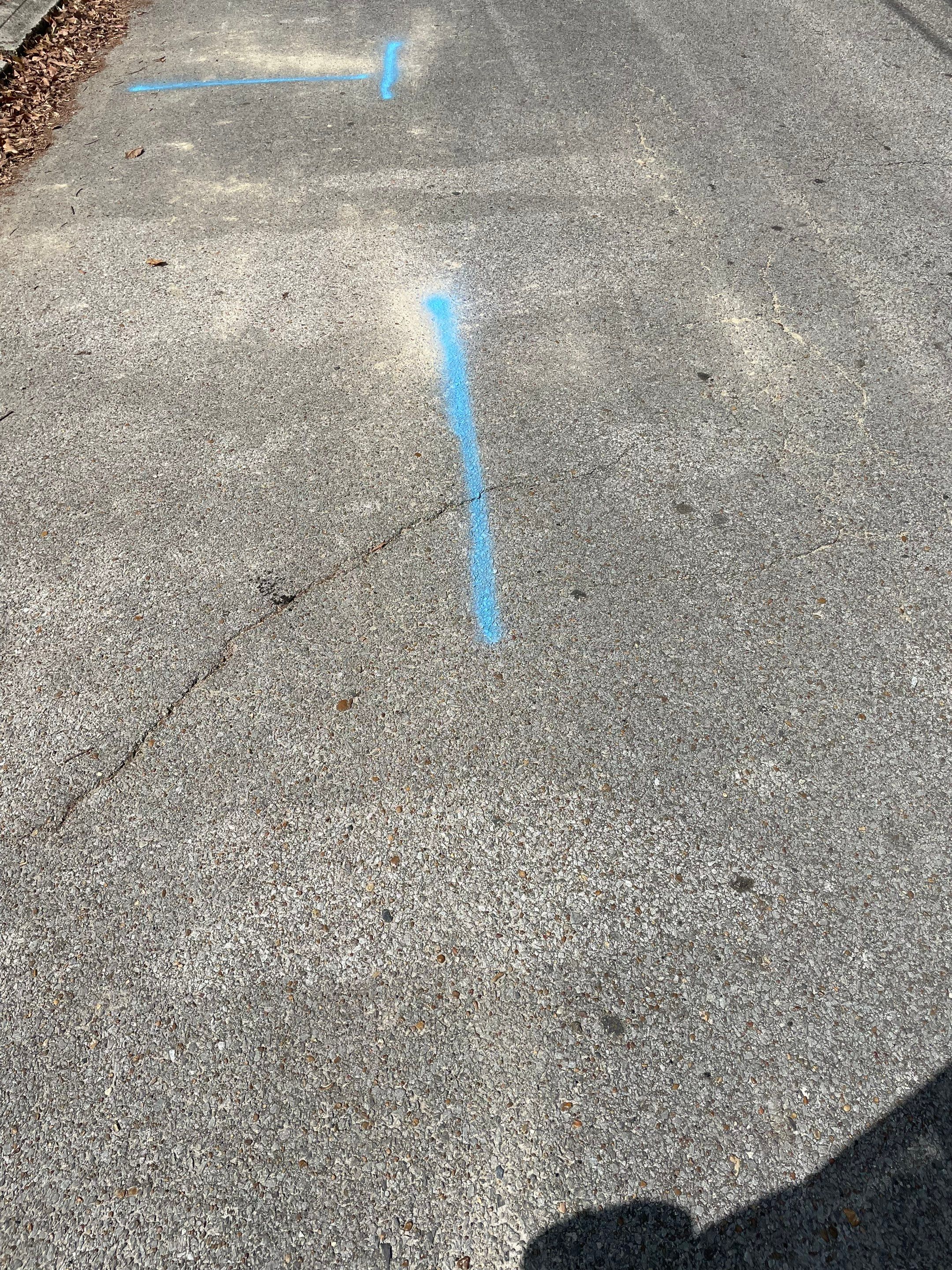 Utility Locate for Survey Purposes by Alsip Locating Service, LLC