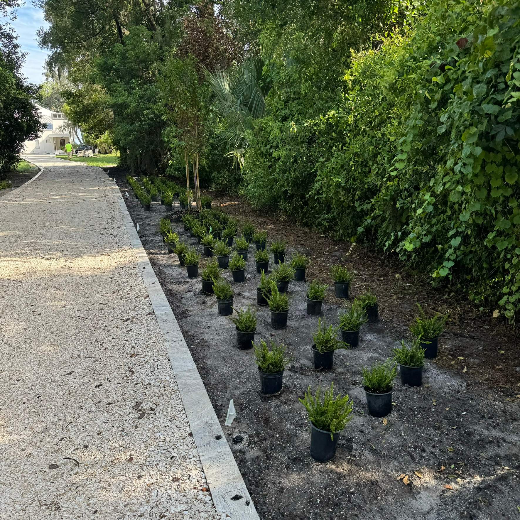 Landscape Install | Residence by ProGreen Services